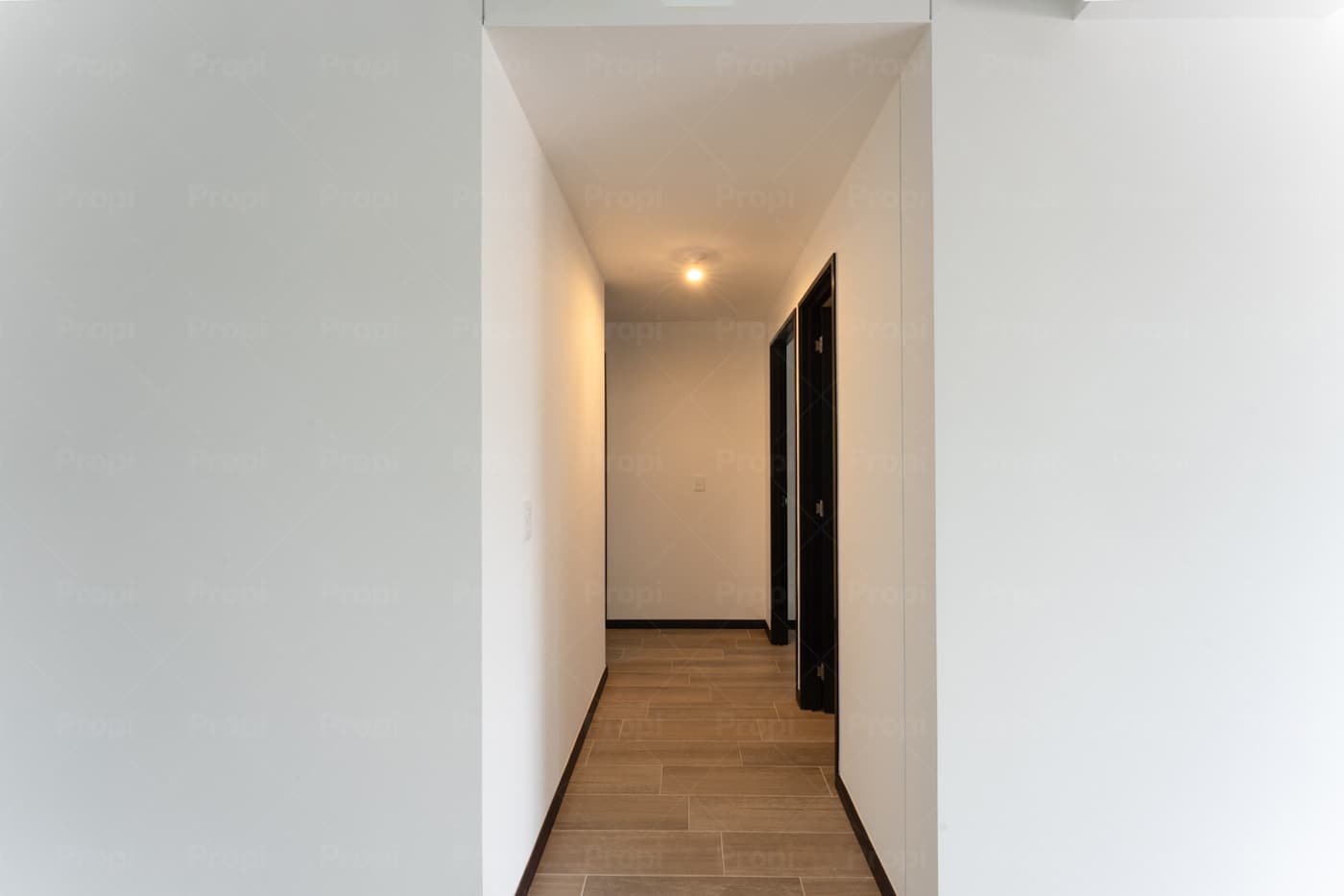 Foto 8 del proyecto