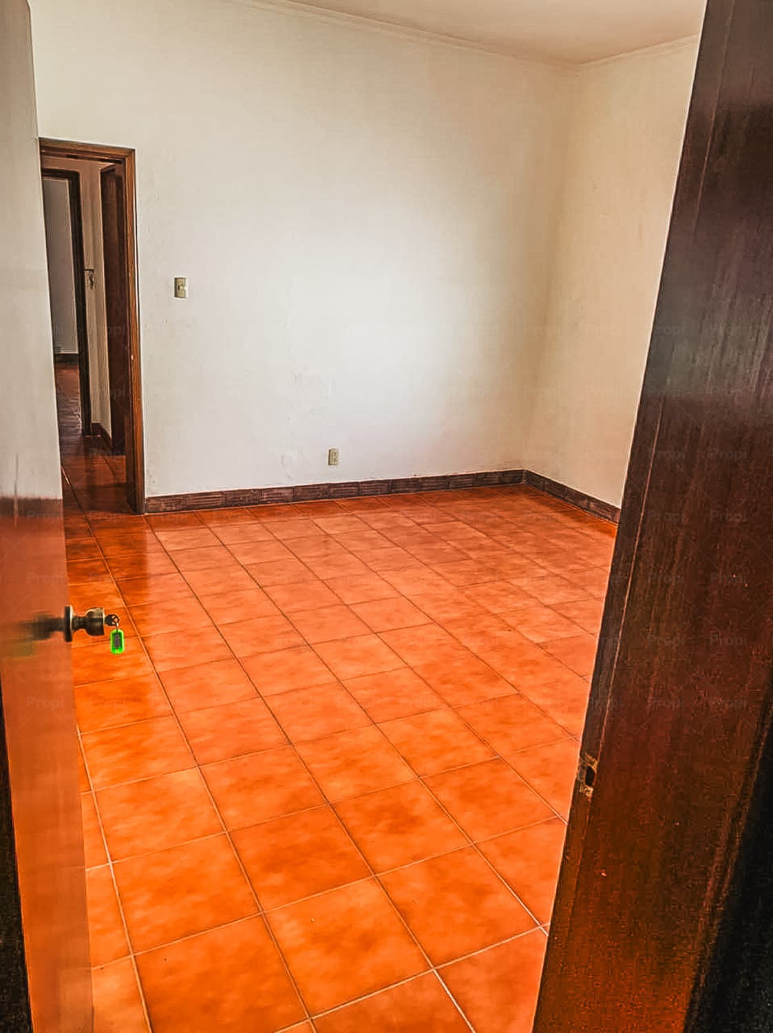 Foto 6 del proyecto
