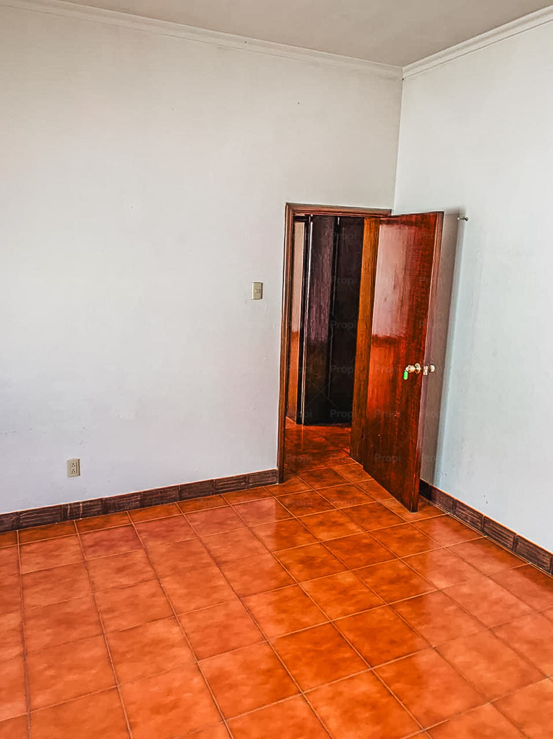 Foto 15 del proyecto