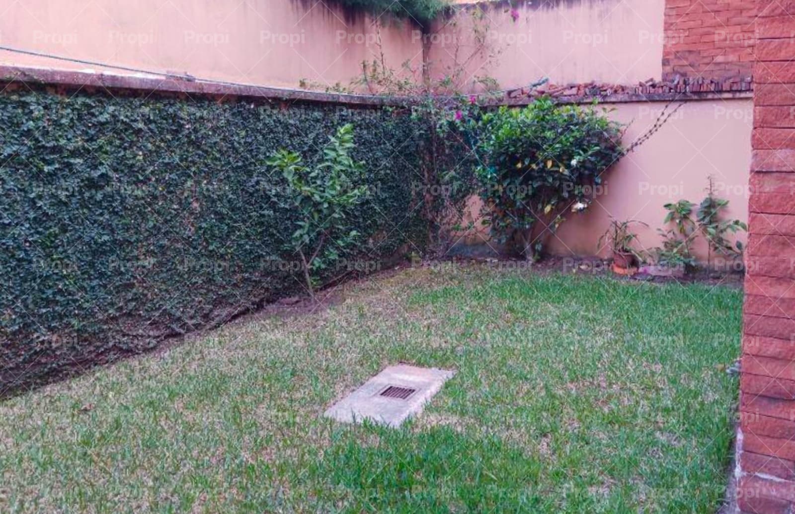 Foto 4 del proyecto