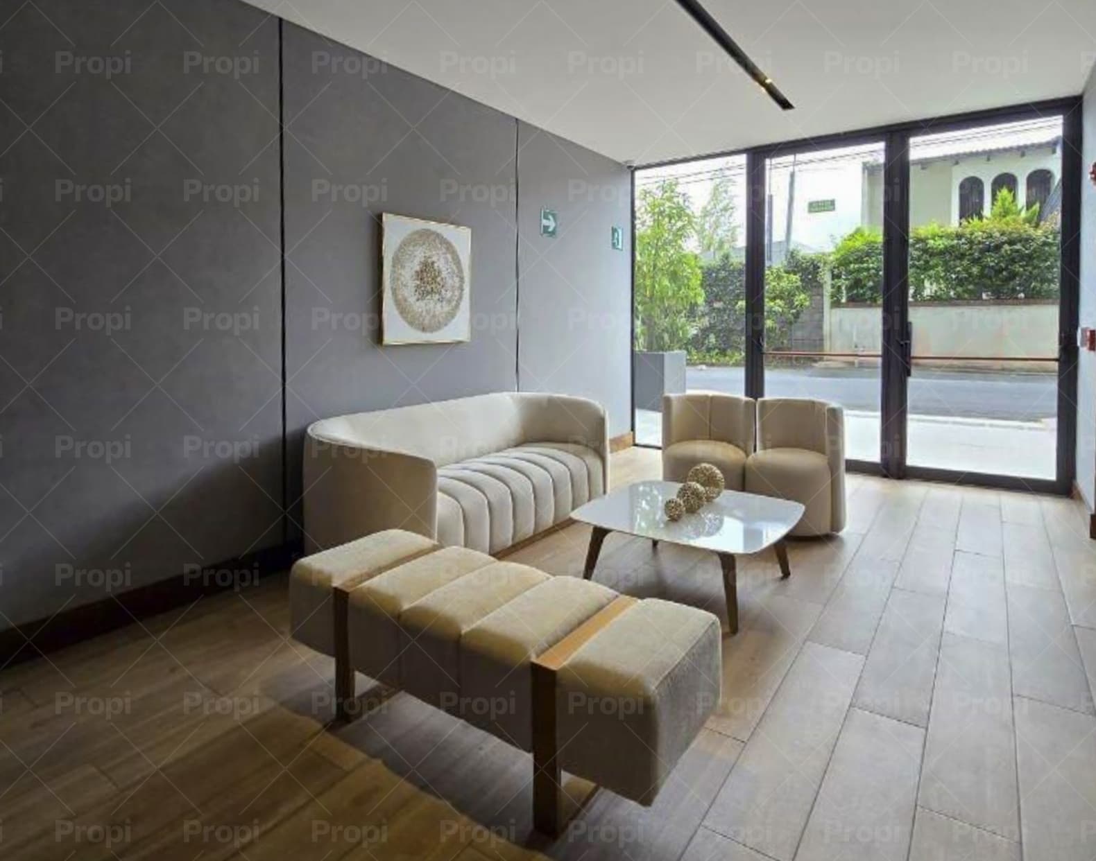 Foto 8 del proyecto