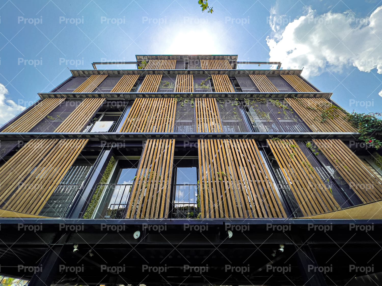 Foto 17 del proyecto