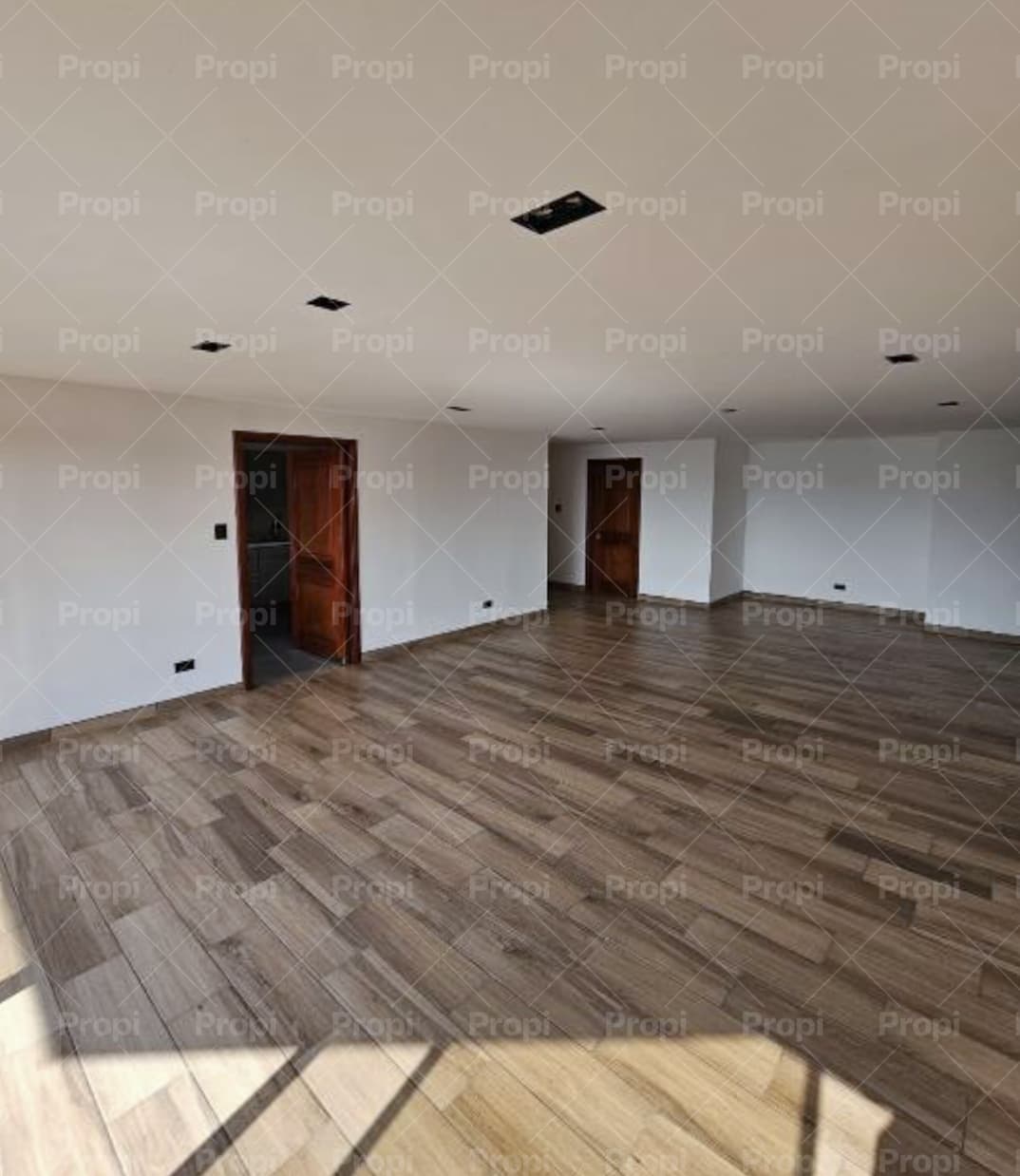Foto principal del proyecto