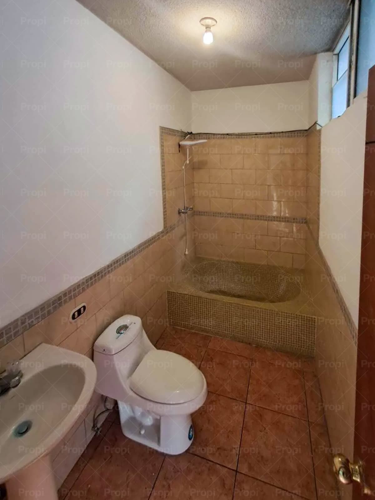 Foto 11 del proyecto