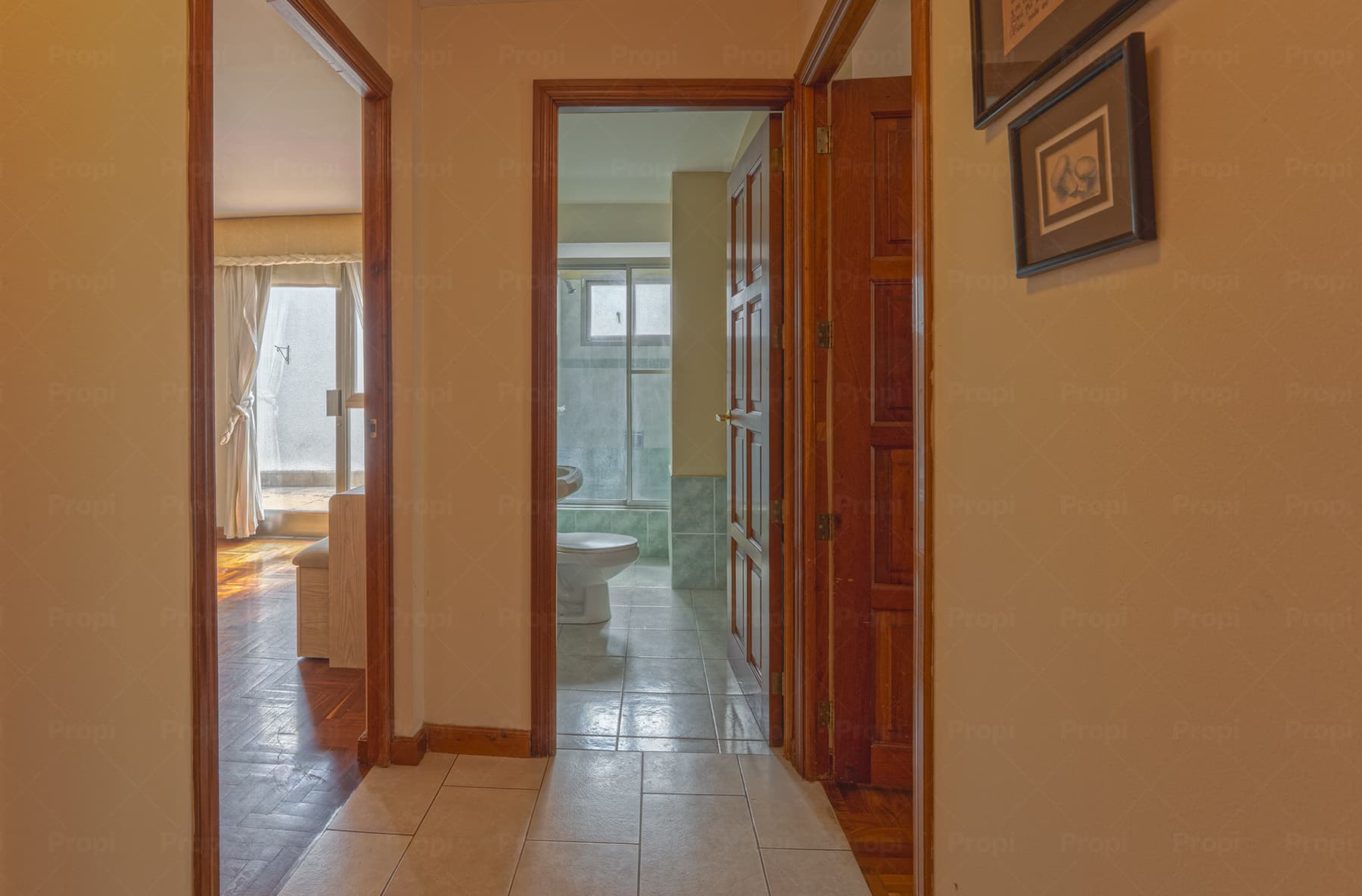 Foto 10 del proyecto