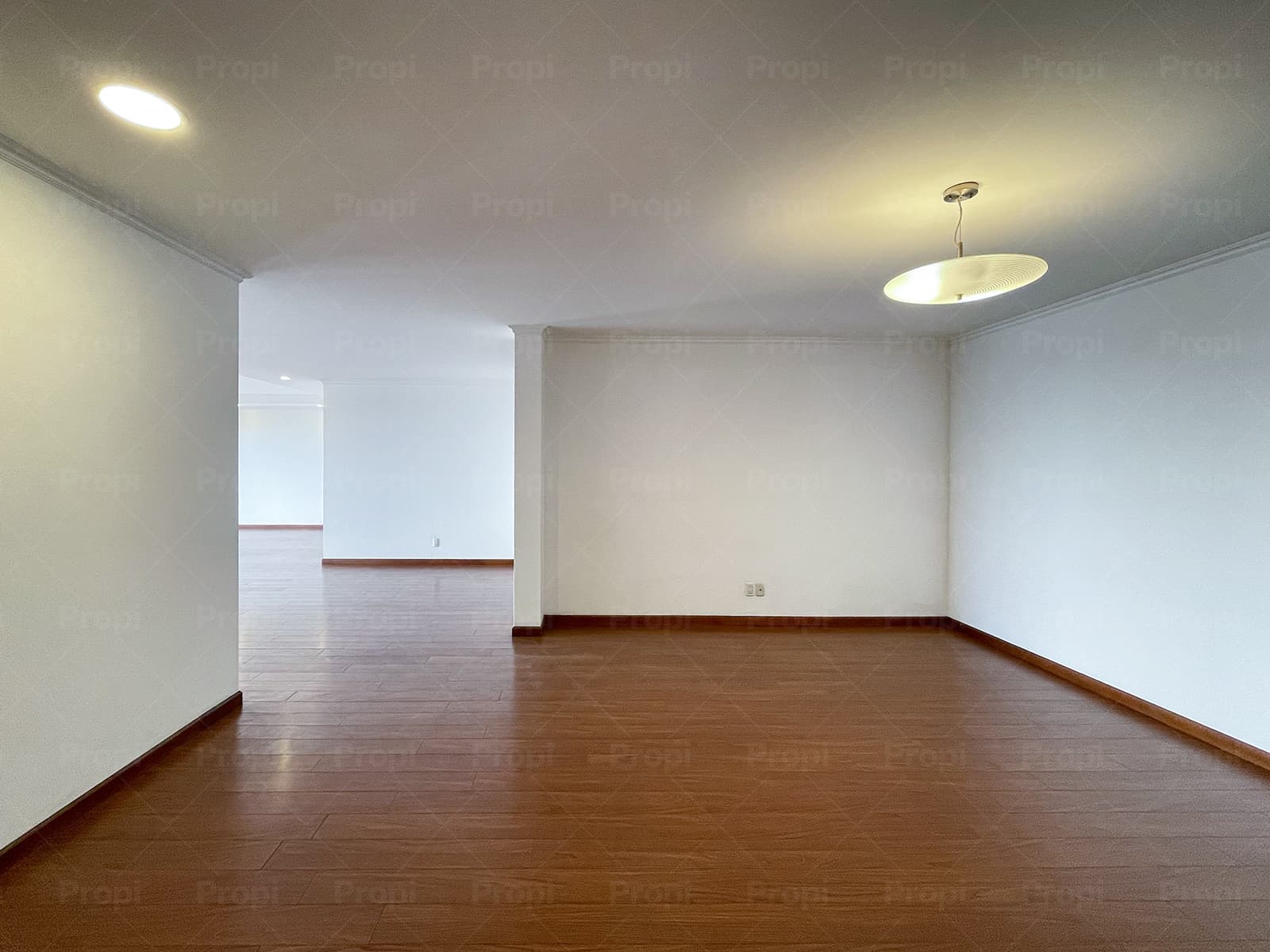 Foto 7 del proyecto