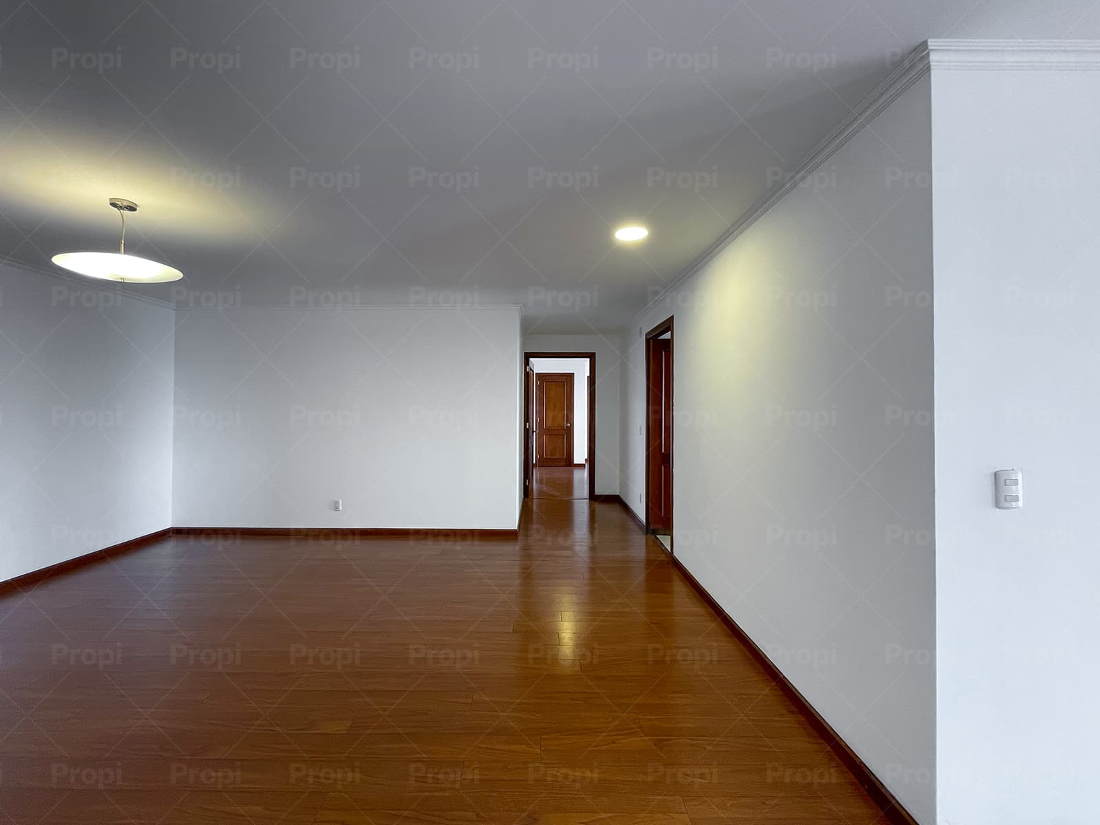 Foto 8 del proyecto