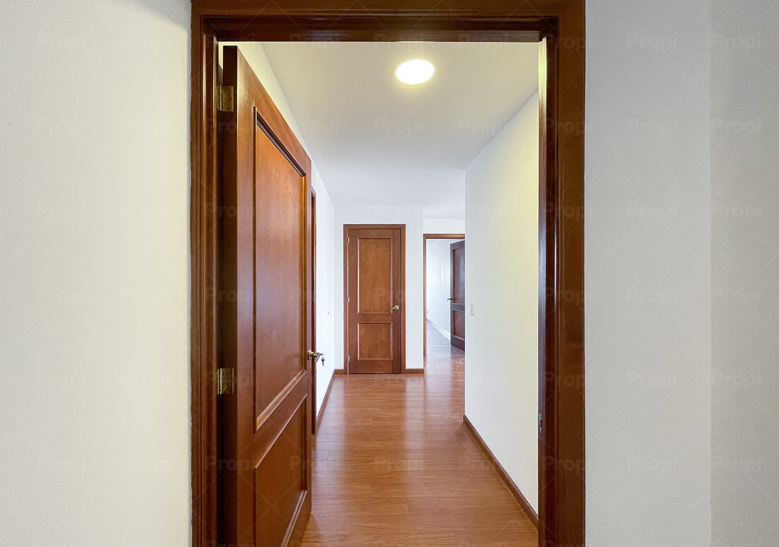 Foto 15 del proyecto