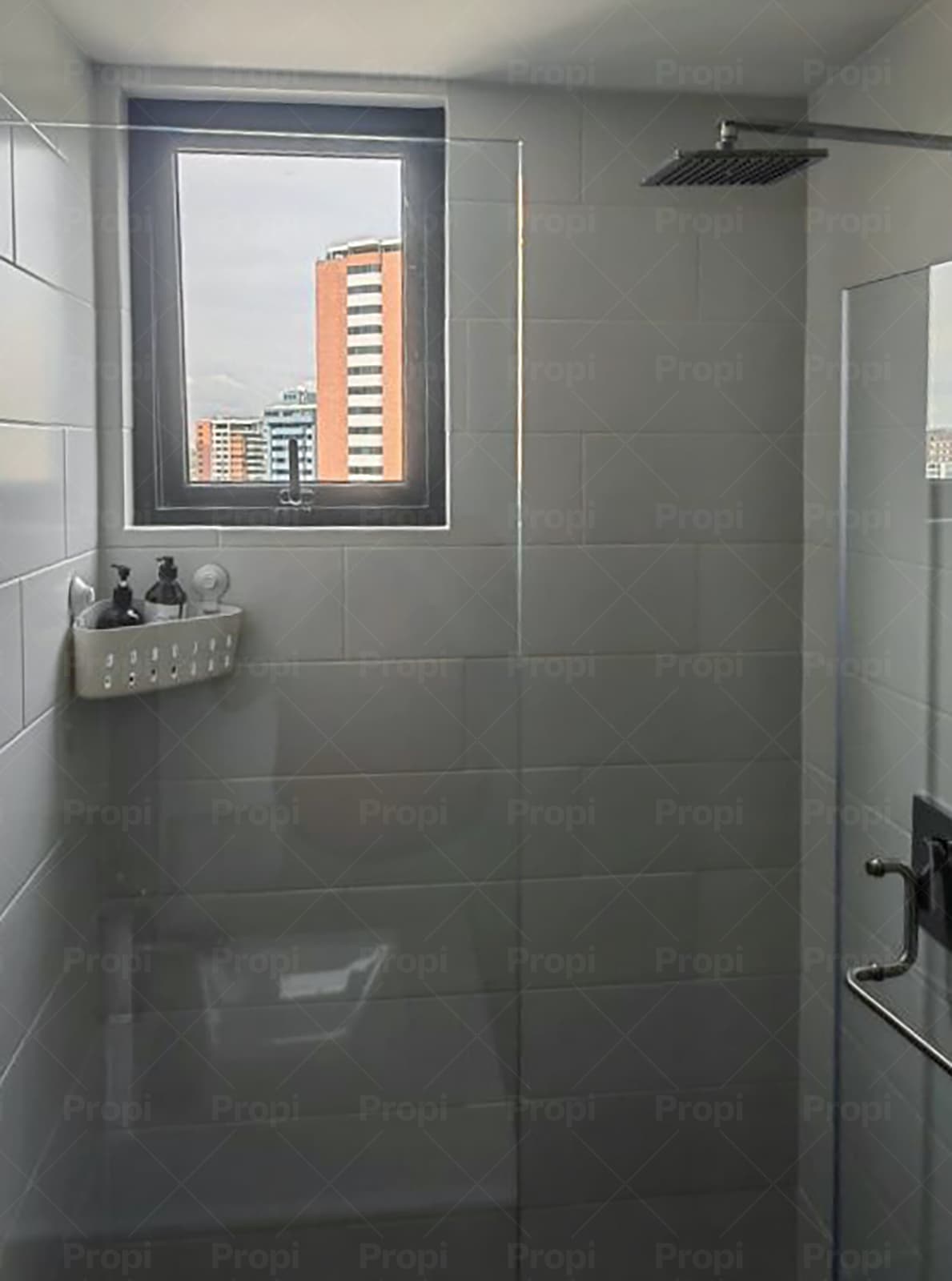 Foto 7 del proyecto