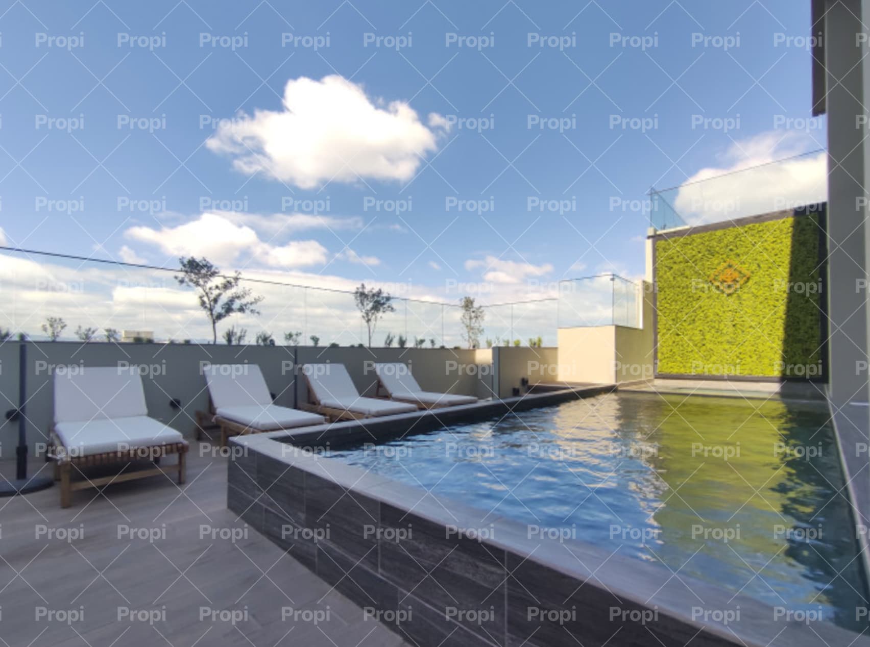 Foto 10 del proyecto