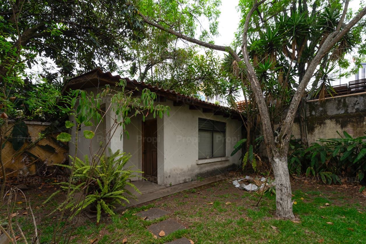 Foto 14 del proyecto