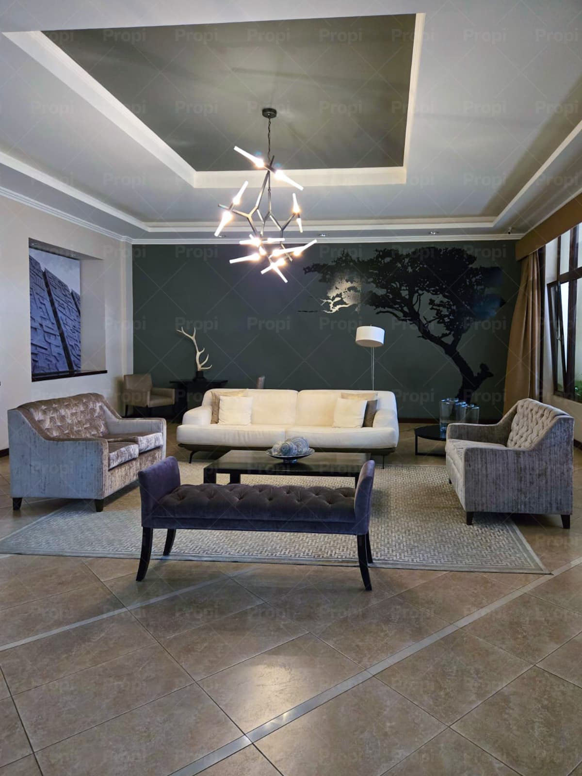 Foto 6 del proyecto