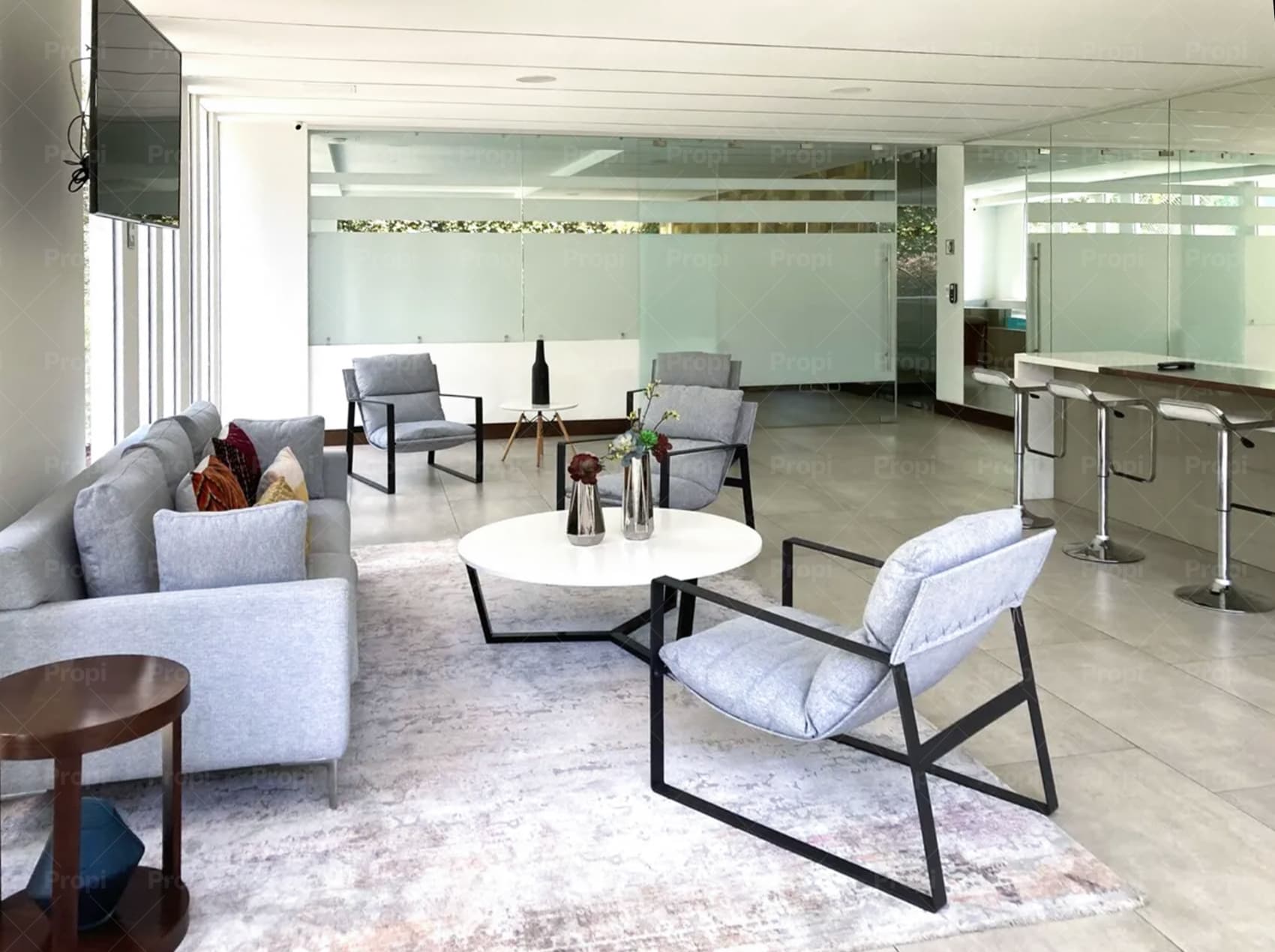 Foto 10 del proyecto