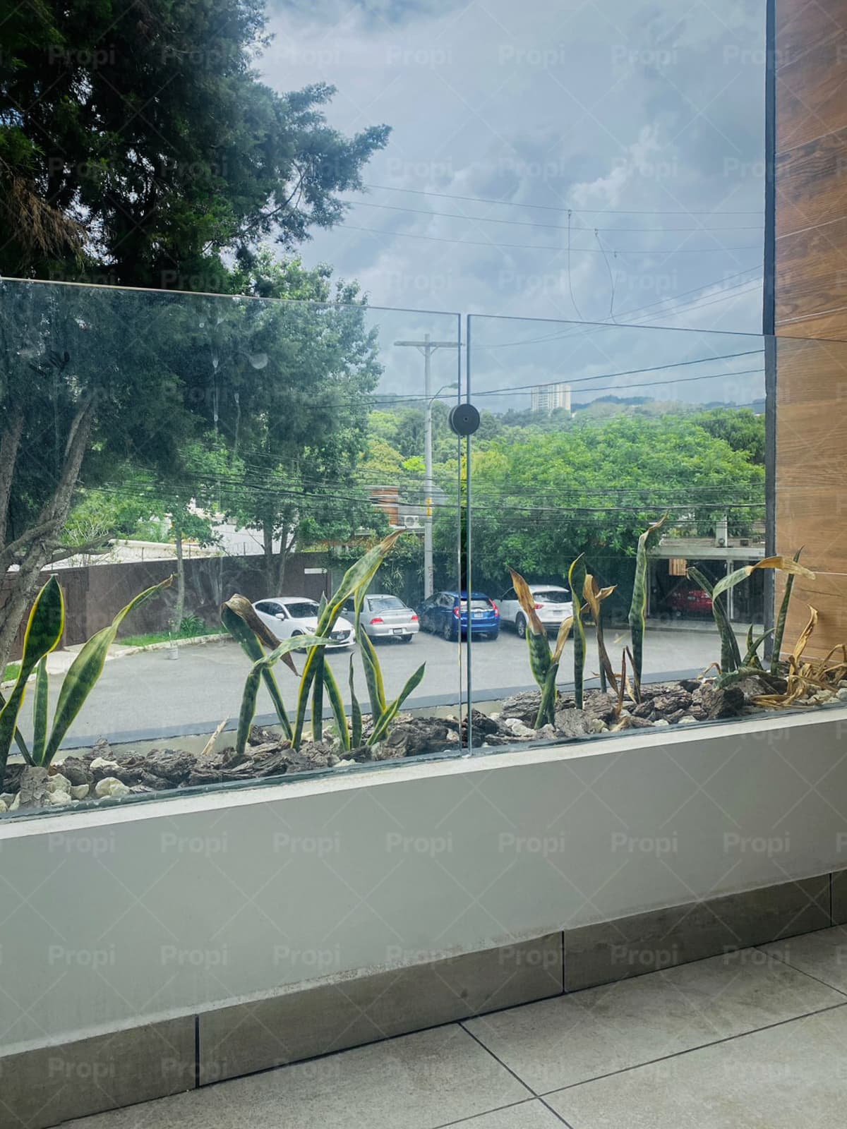Foto 9 del proyecto