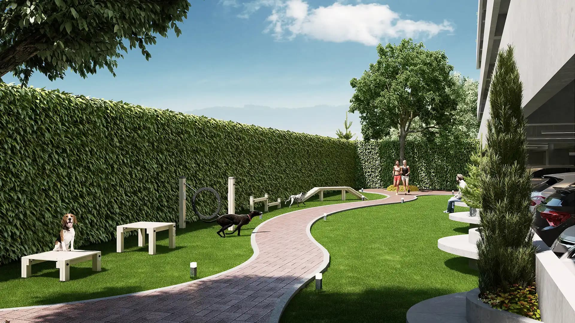 Foto 9 del proyecto