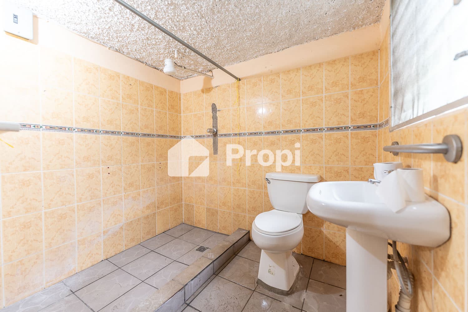 Foto 9 del proyecto