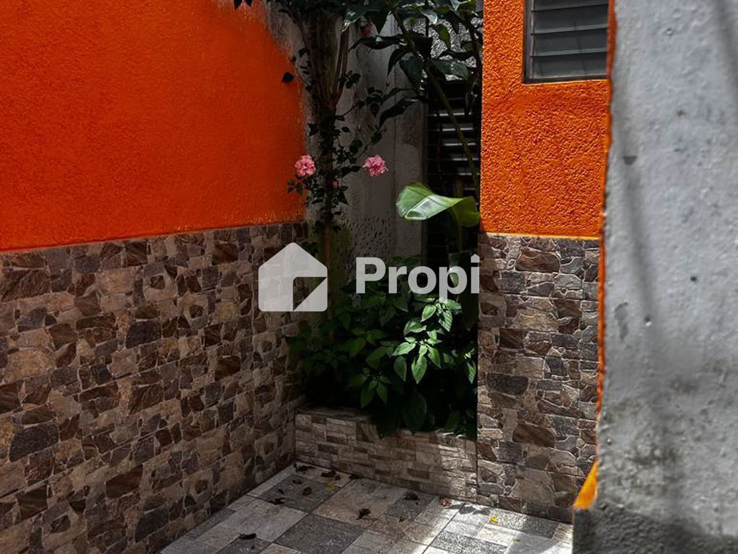 Foto 6 del proyecto