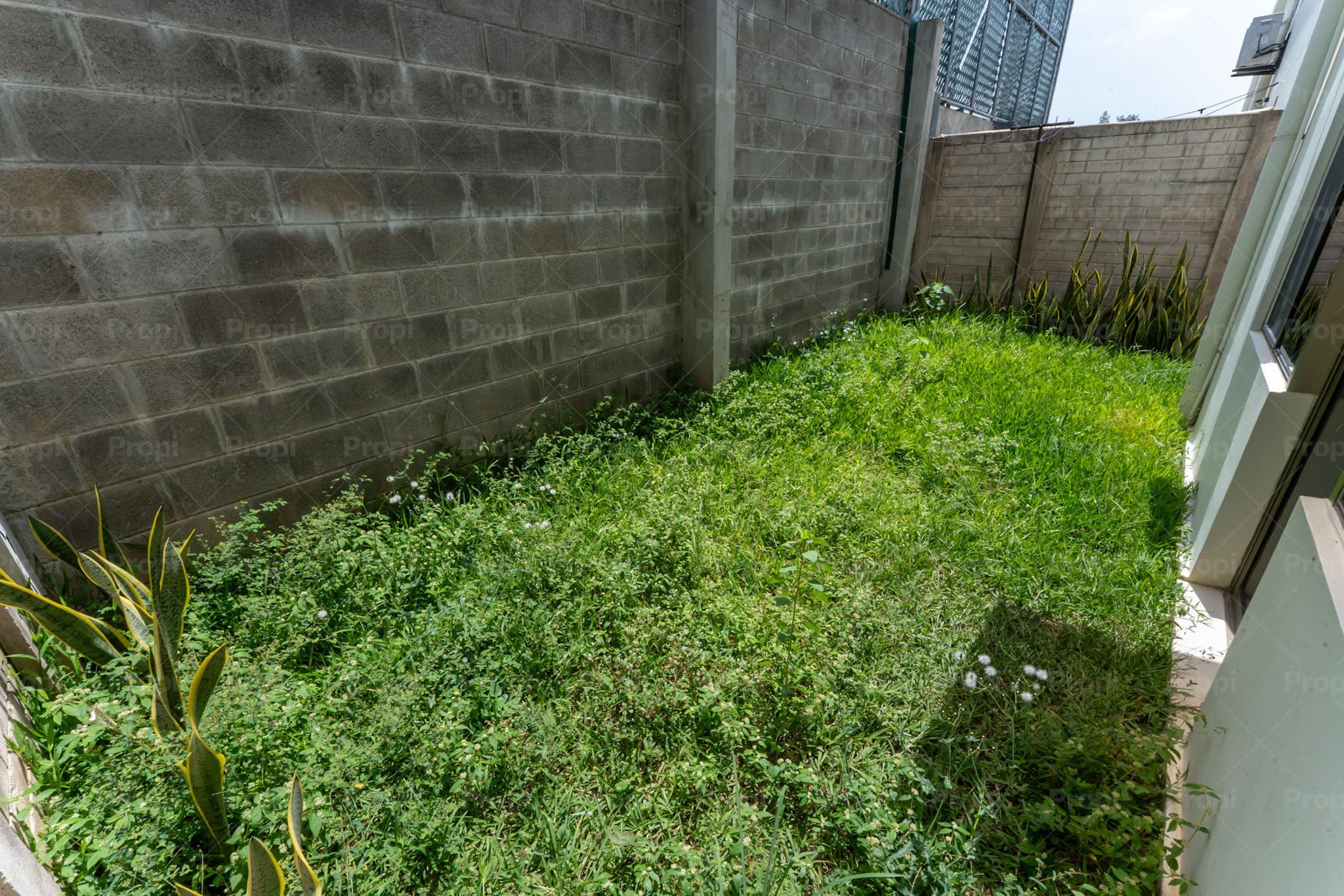 Foto 9 del proyecto