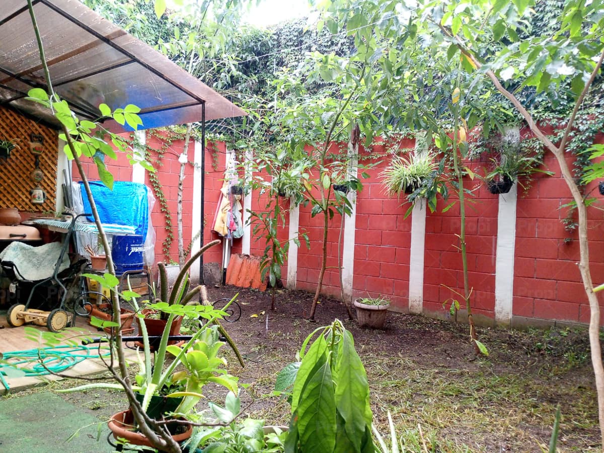 Foto 10 del proyecto