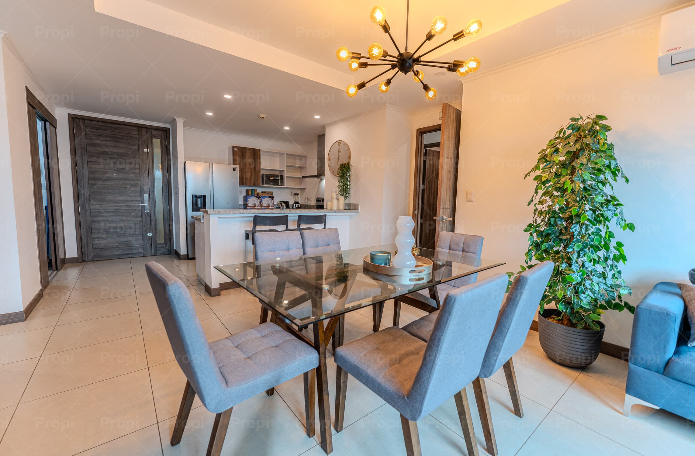 Foto 4 del proyecto