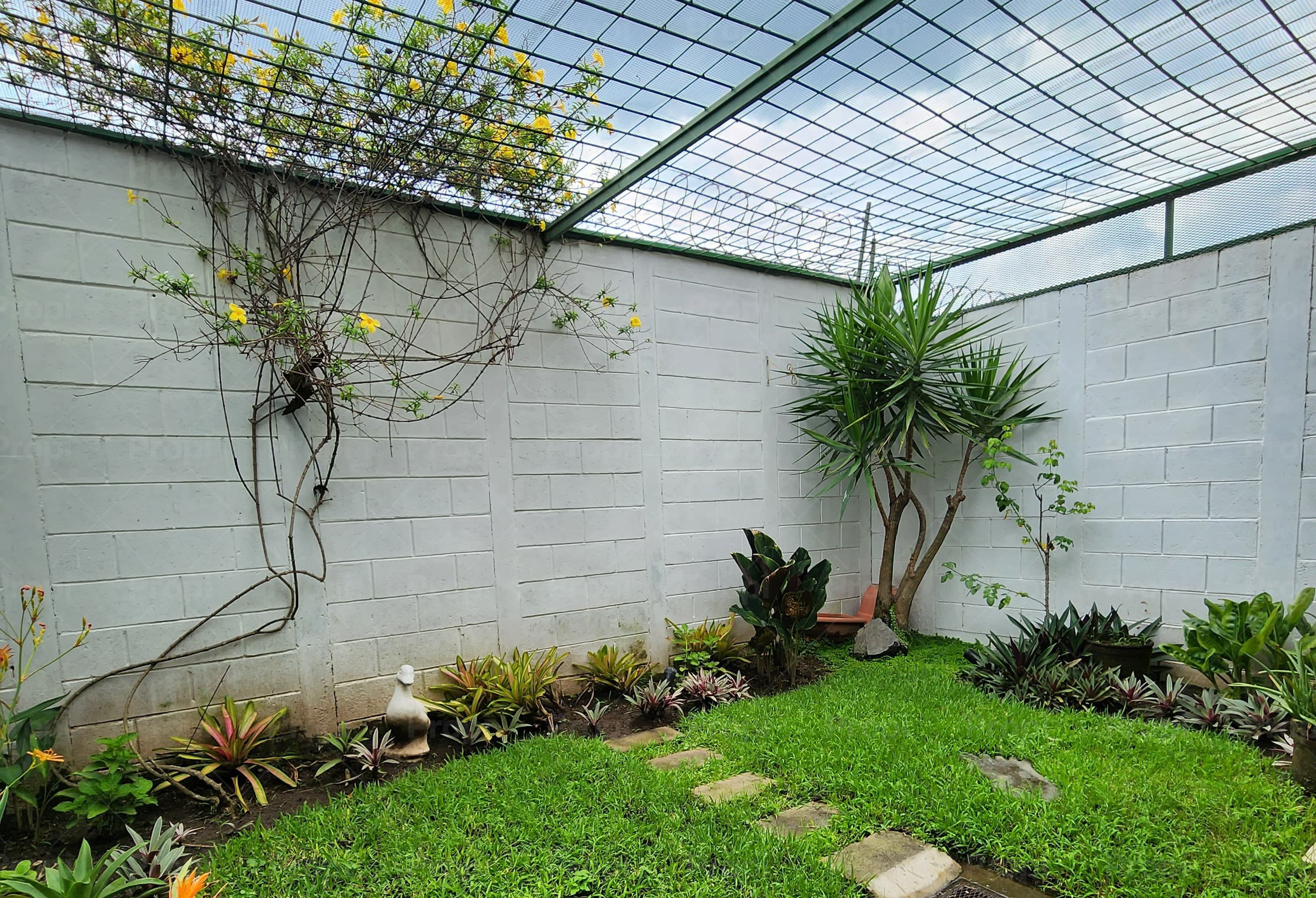 Foto 5 del proyecto