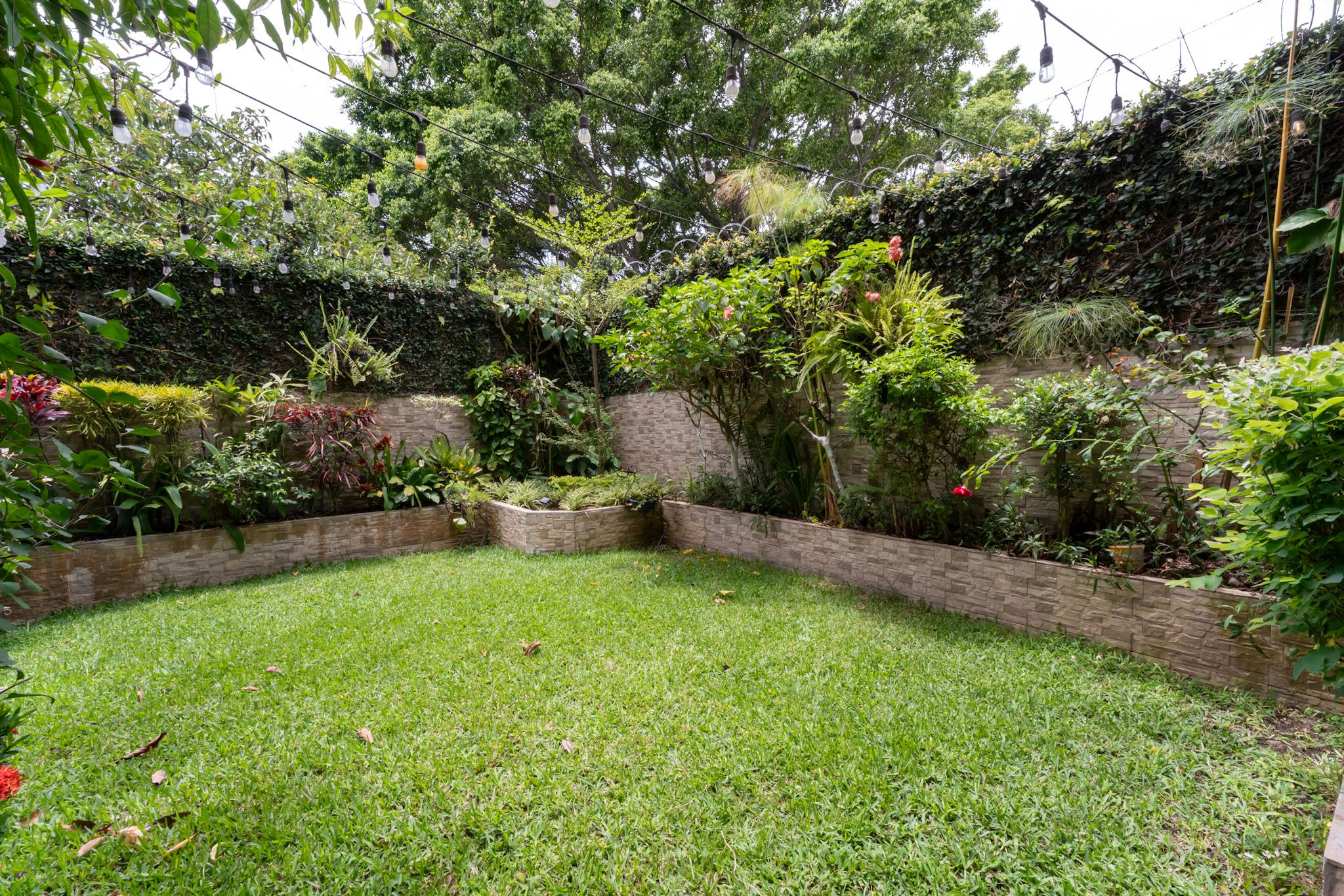 Foto 9 del proyecto