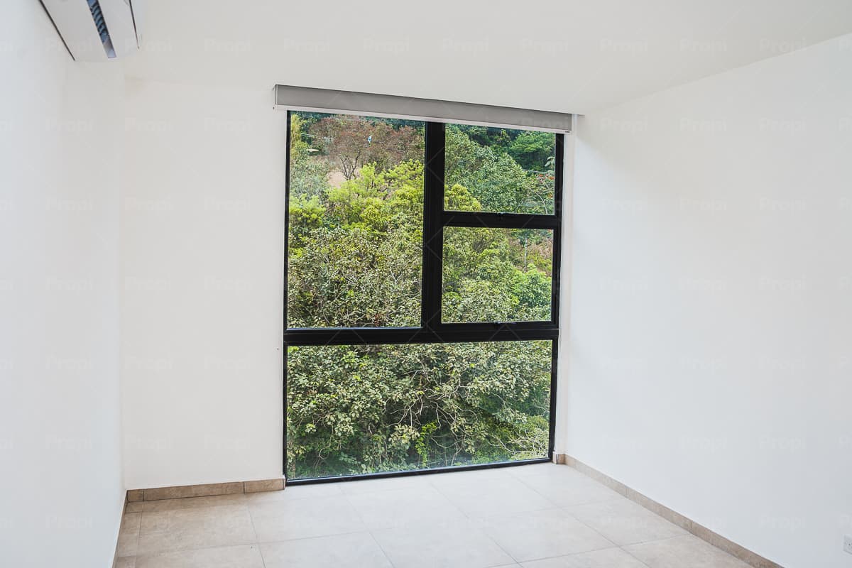 Foto 1 del proyecto