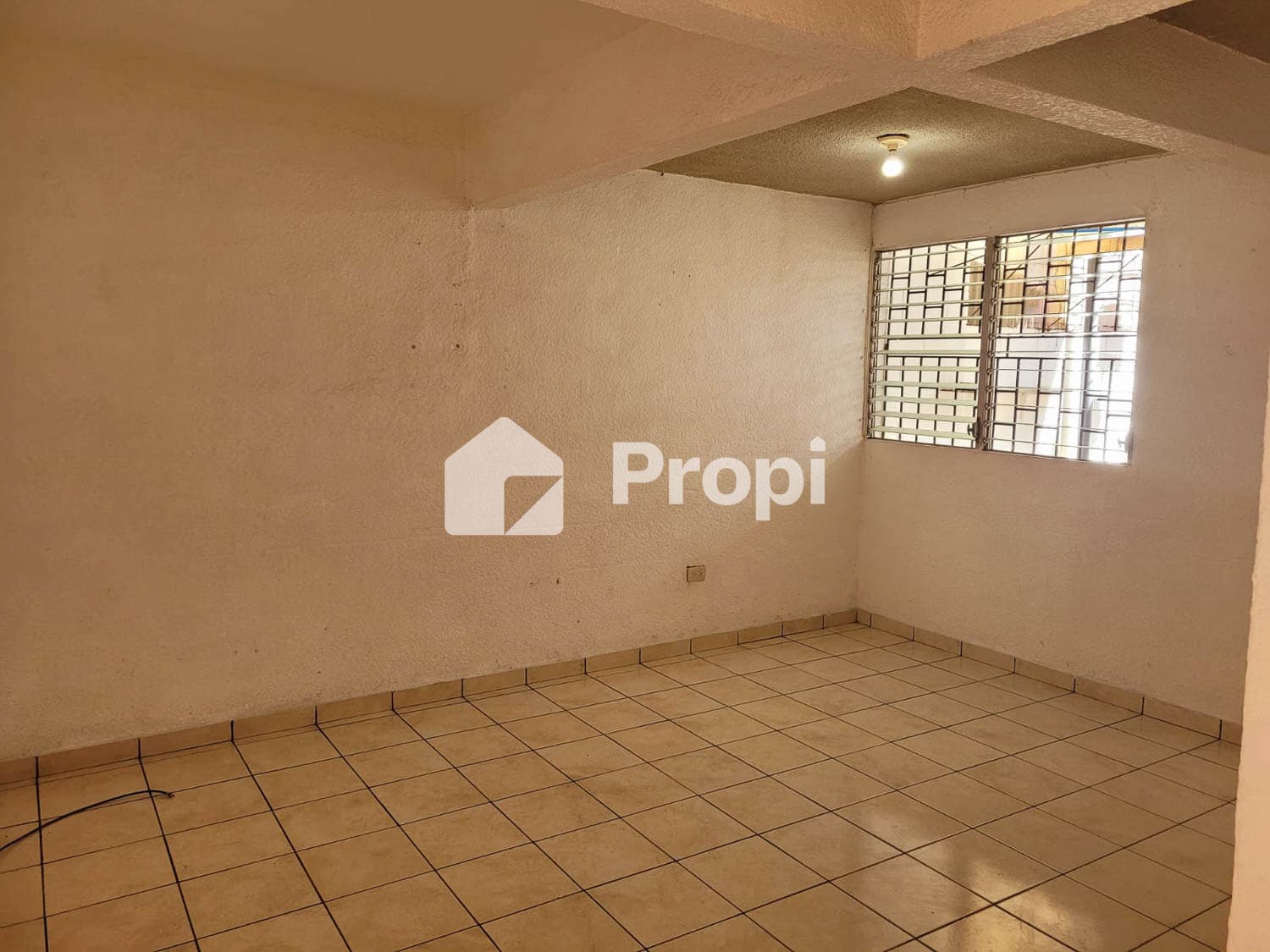 Foto 4 del proyecto
