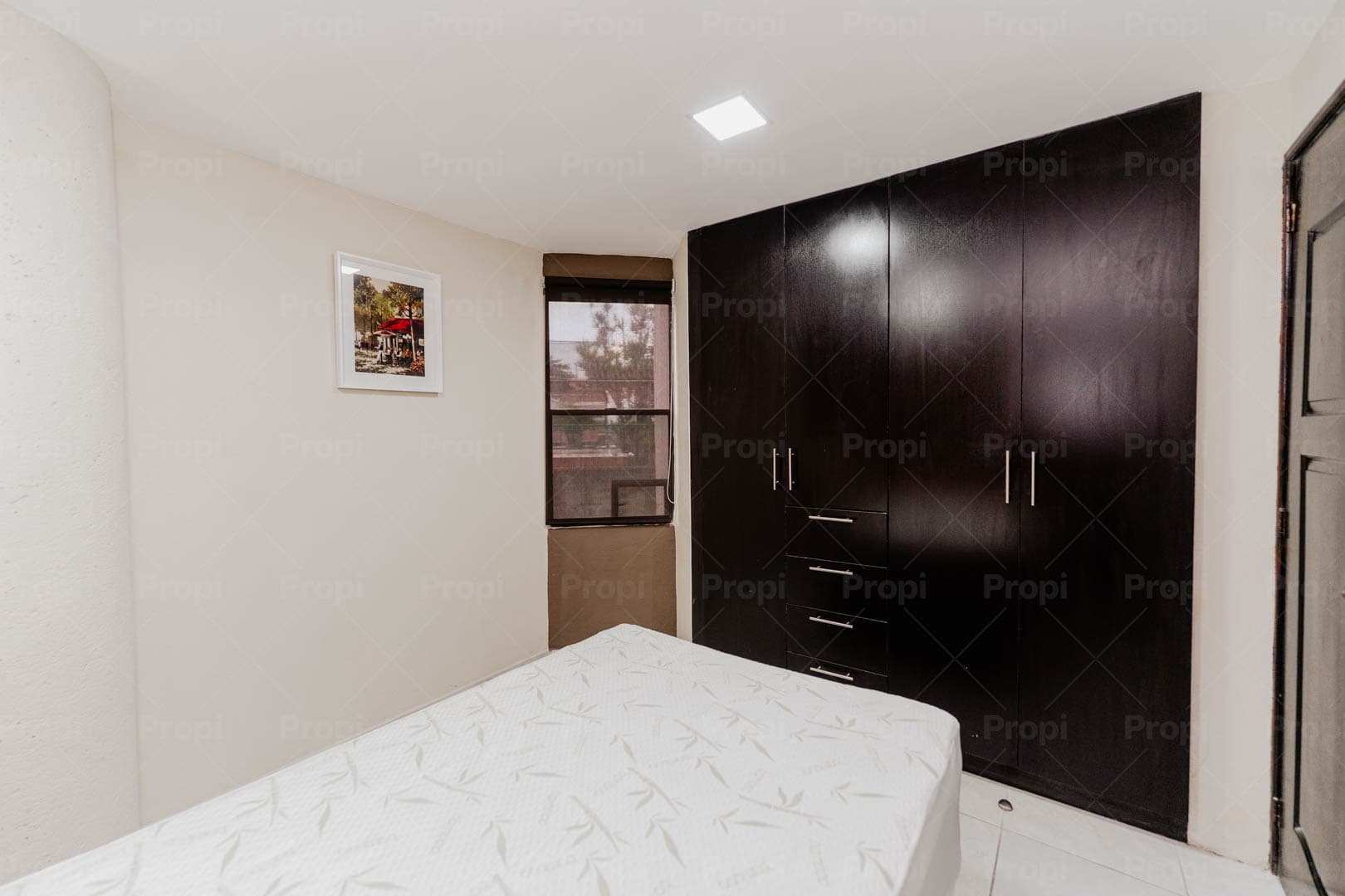 Foto 14 del proyecto