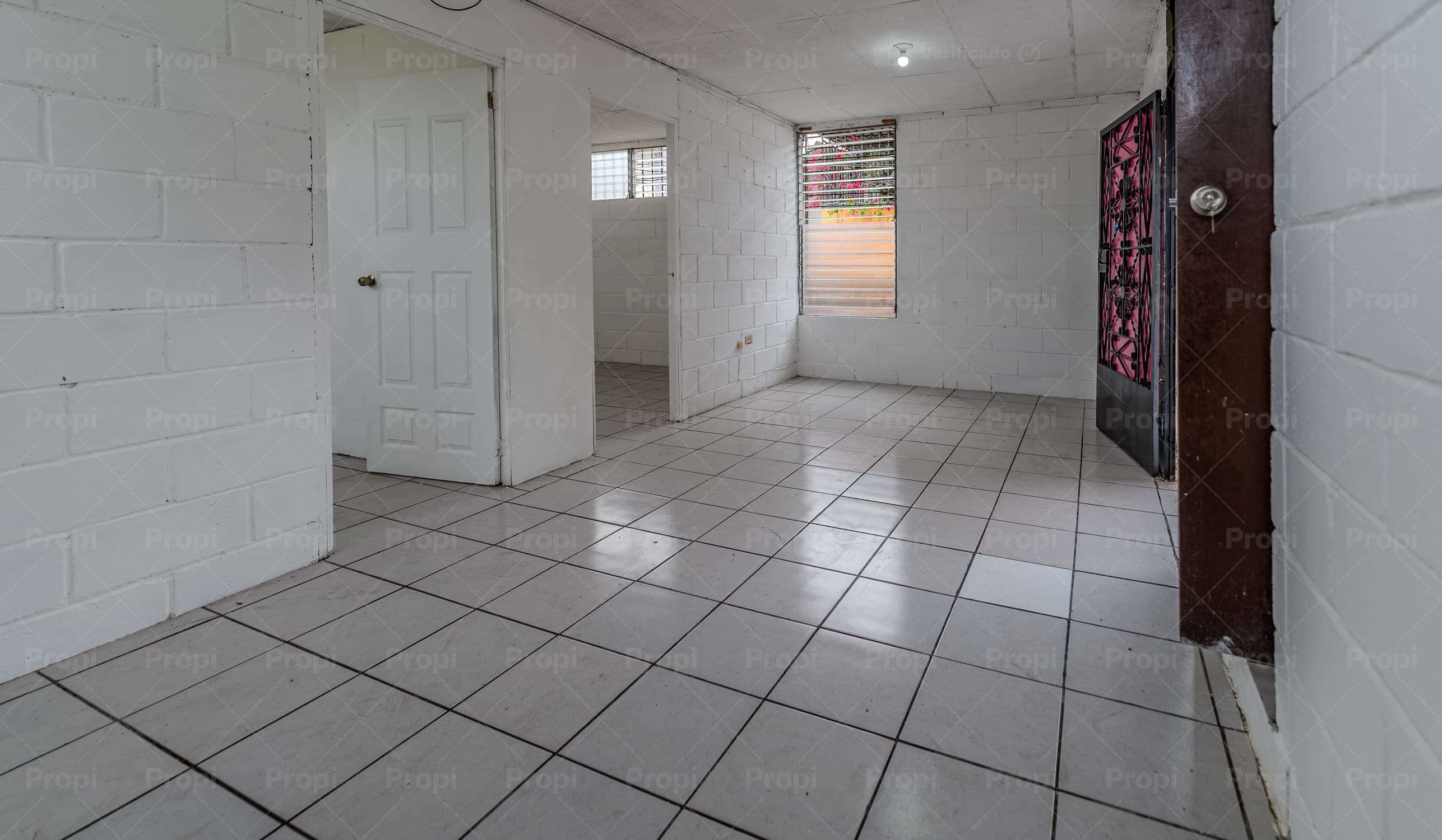 Foto 4 del proyecto