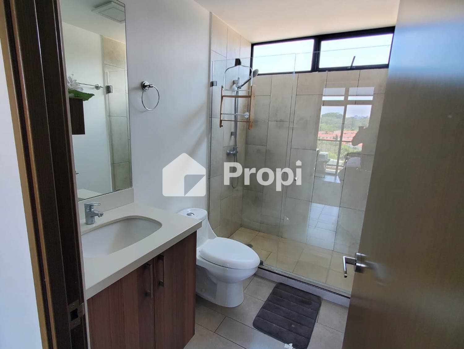Foto 7 del proyecto