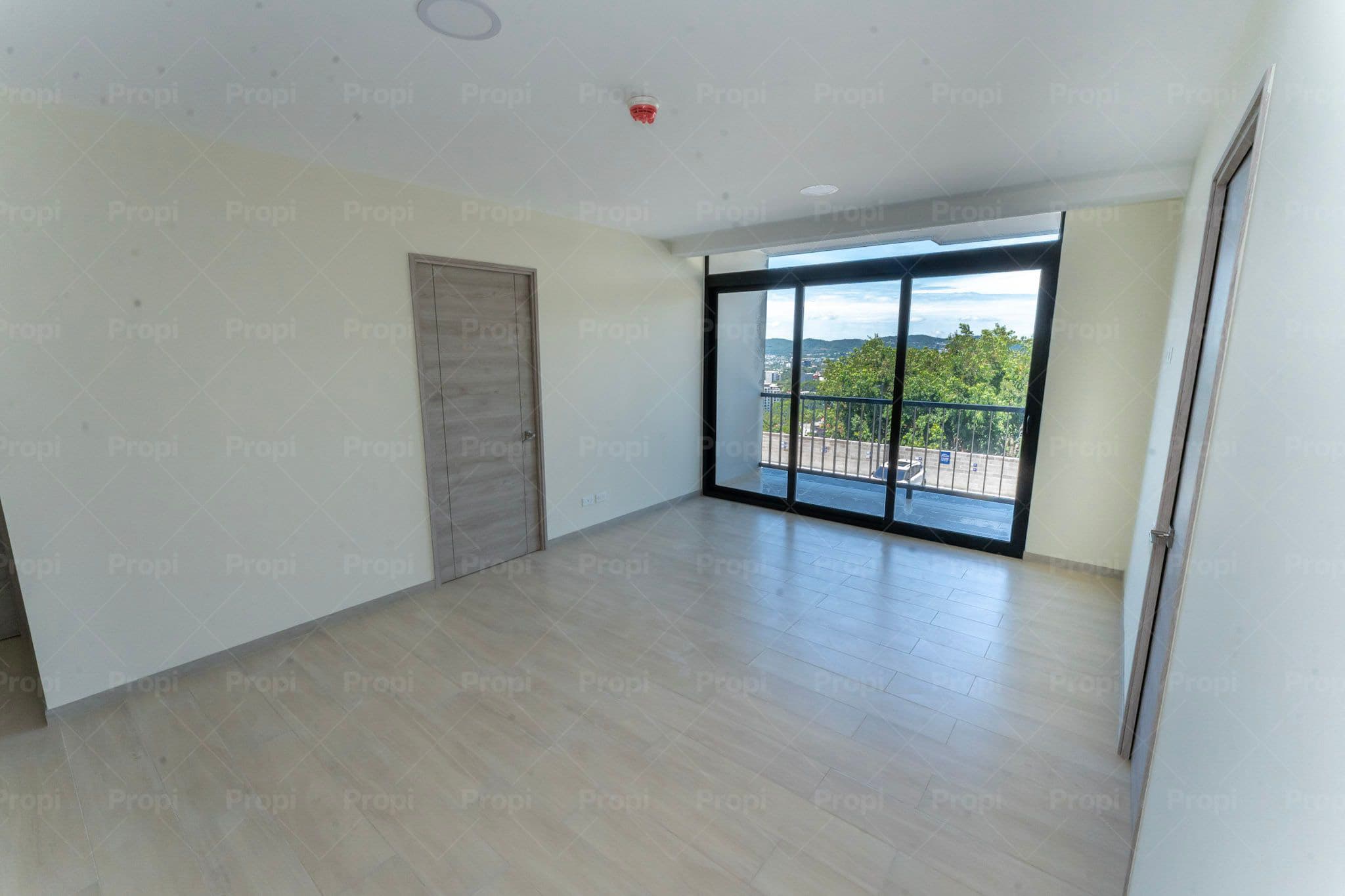 Foto 1 del proyecto