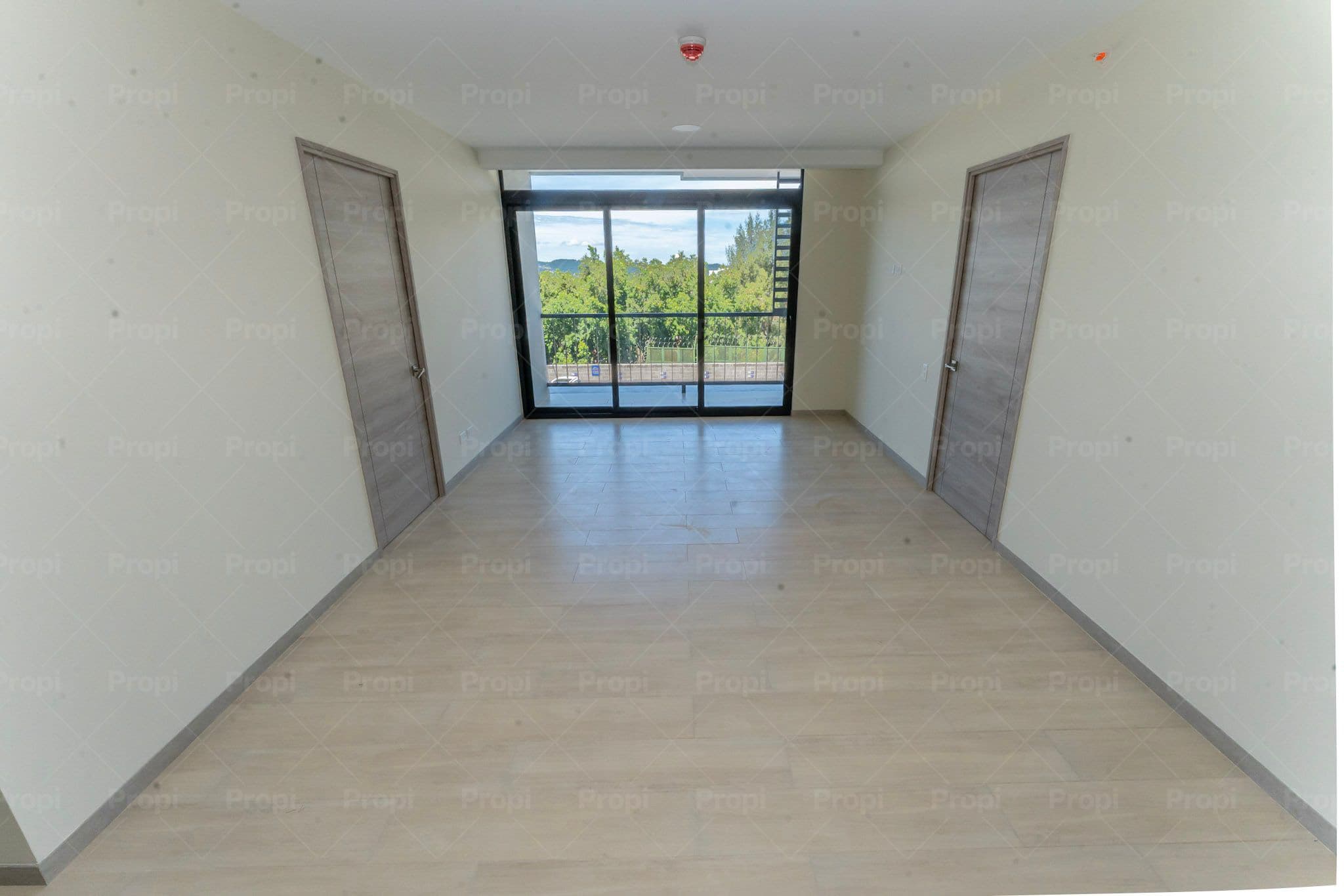 Foto 5 del proyecto