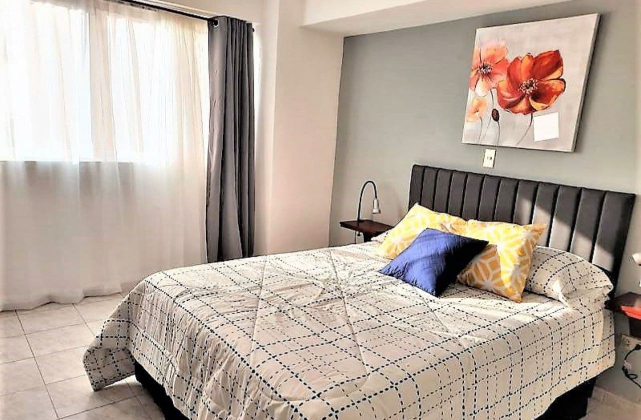 Foto 6 del proyecto