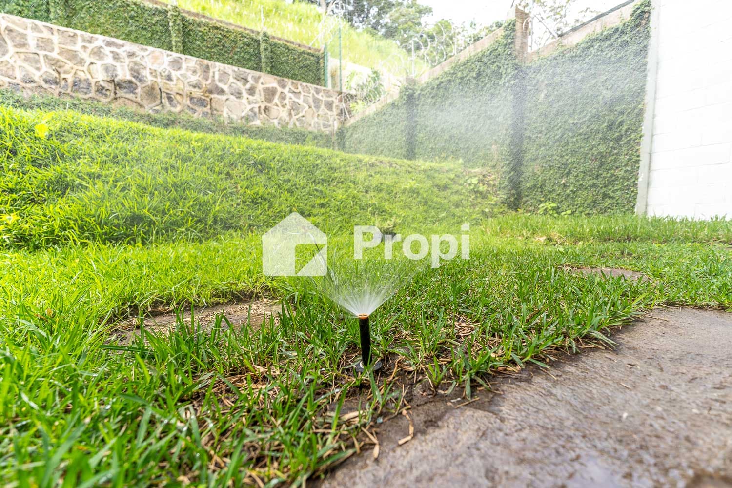 Foto 17 del proyecto