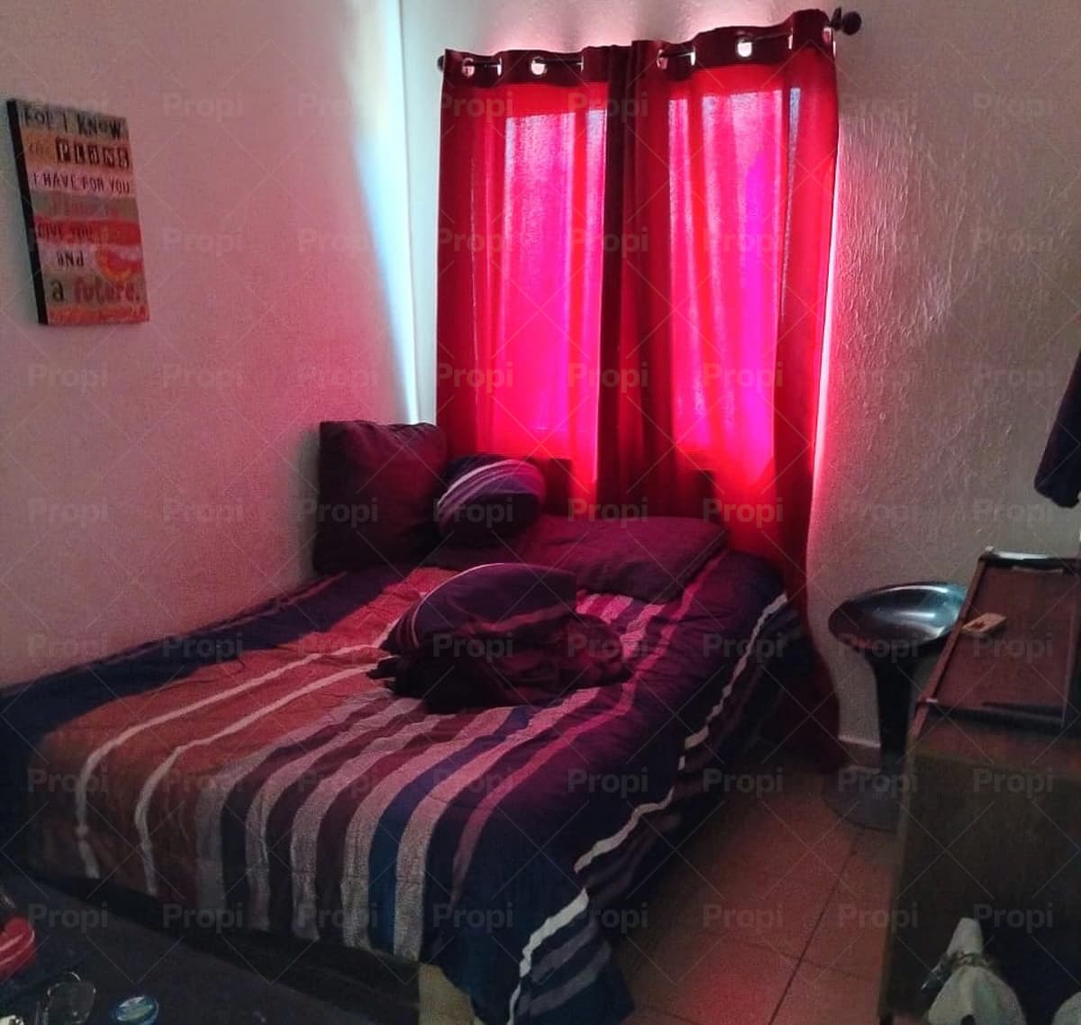 Foto 4 del proyecto