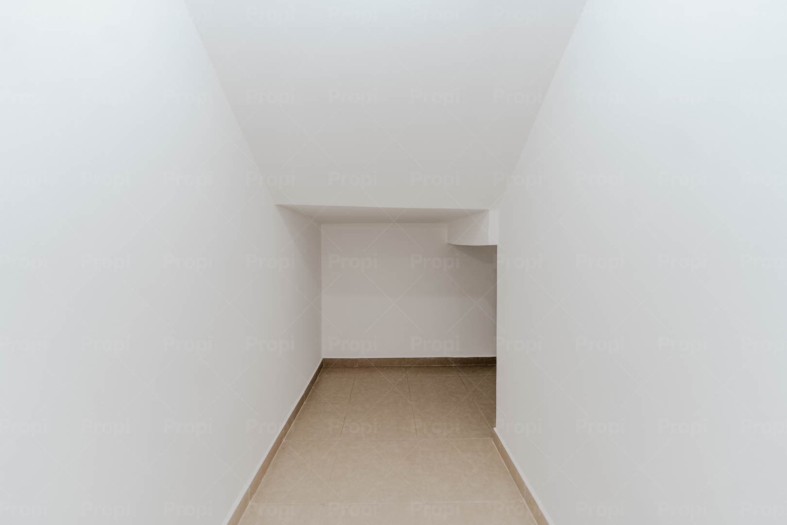 Foto 7 del proyecto