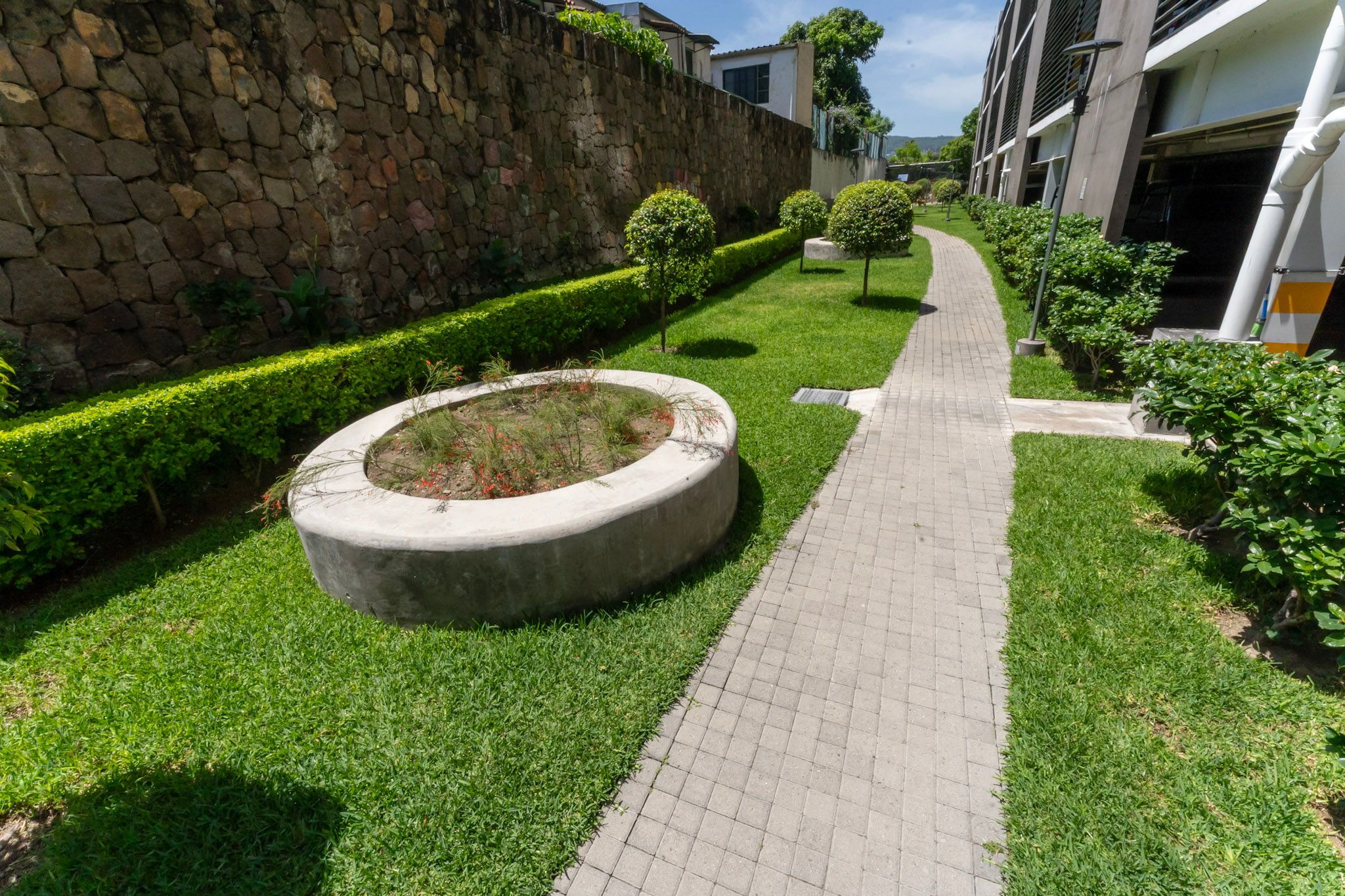 Foto 23 del proyecto