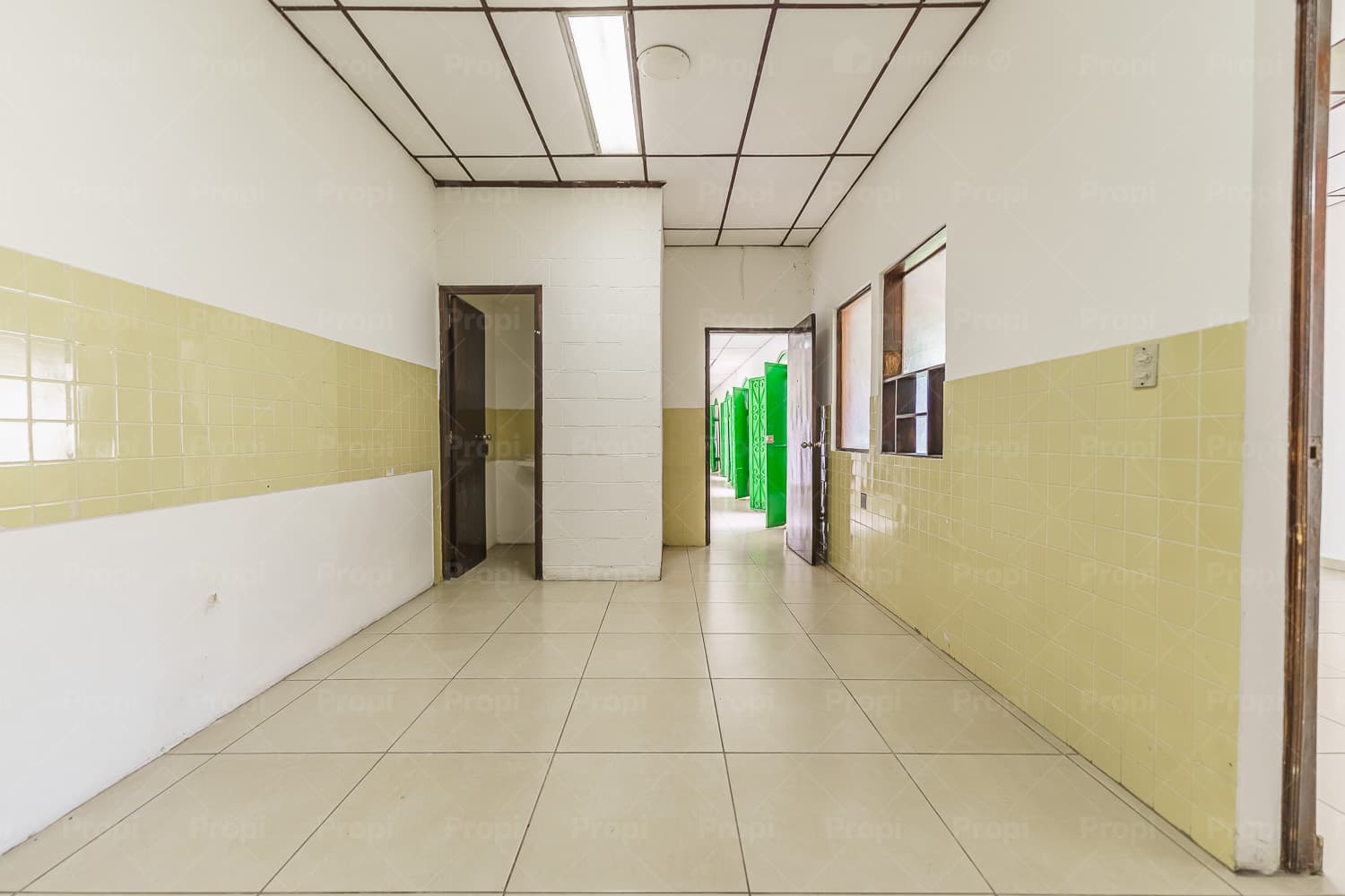 Foto 11 del proyecto