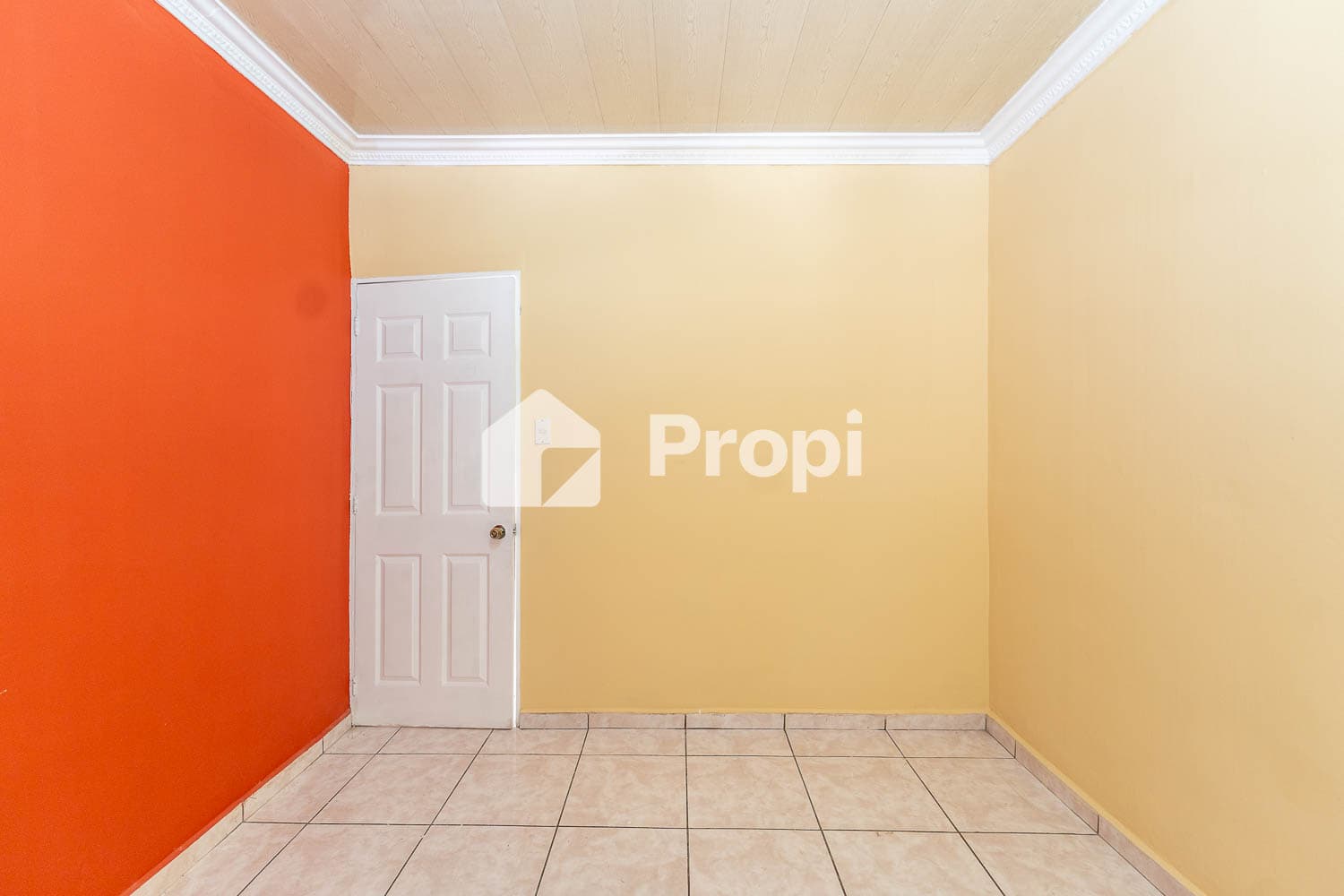 Foto 10 del proyecto