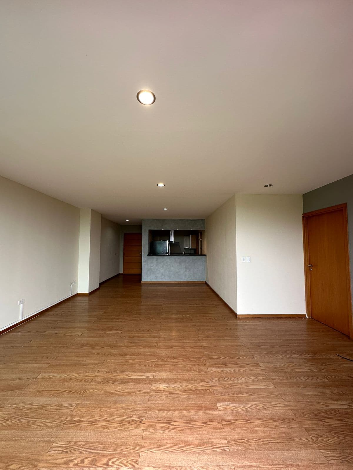 Foto 1 del proyecto