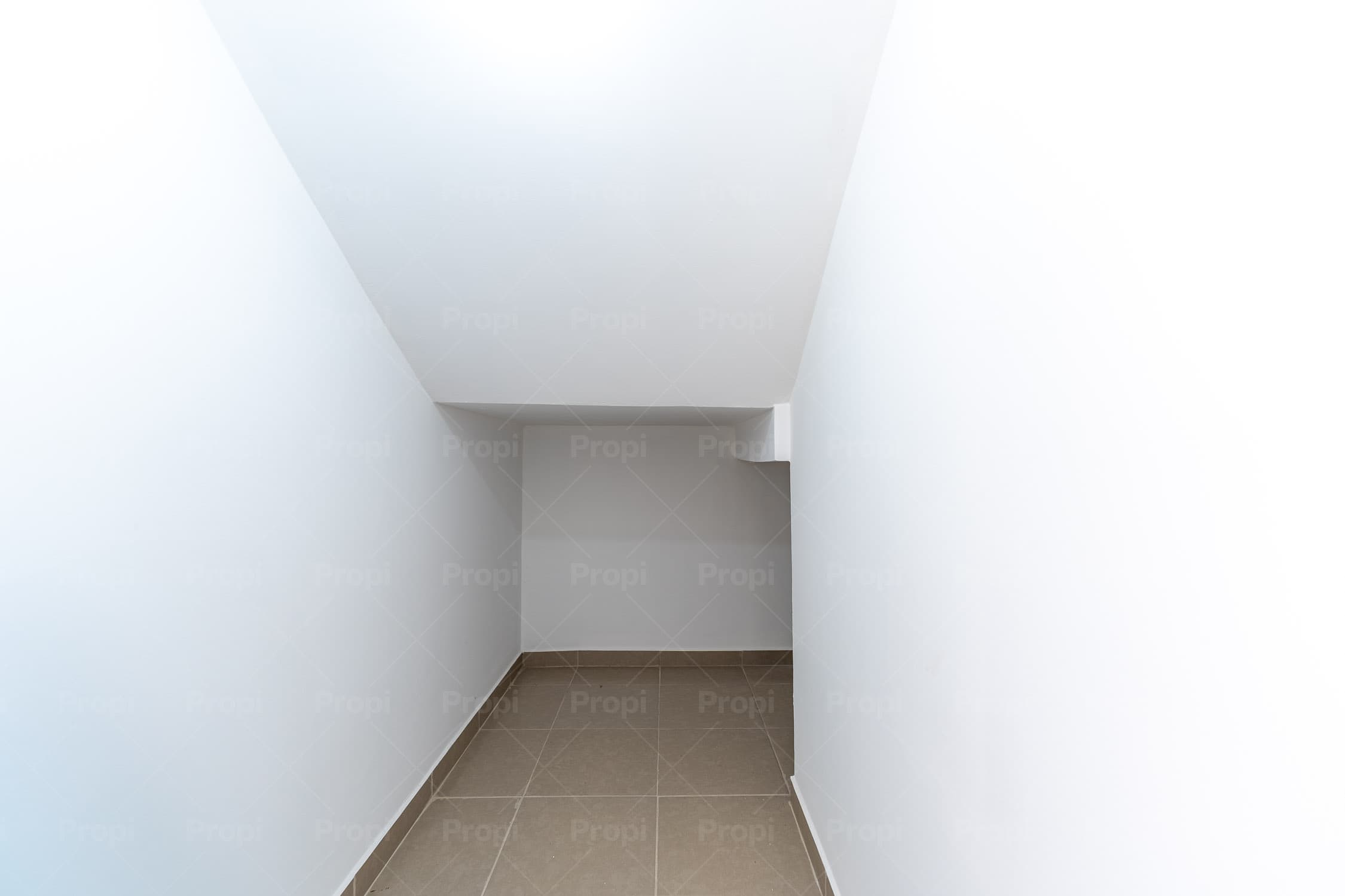 Foto 8 del proyecto