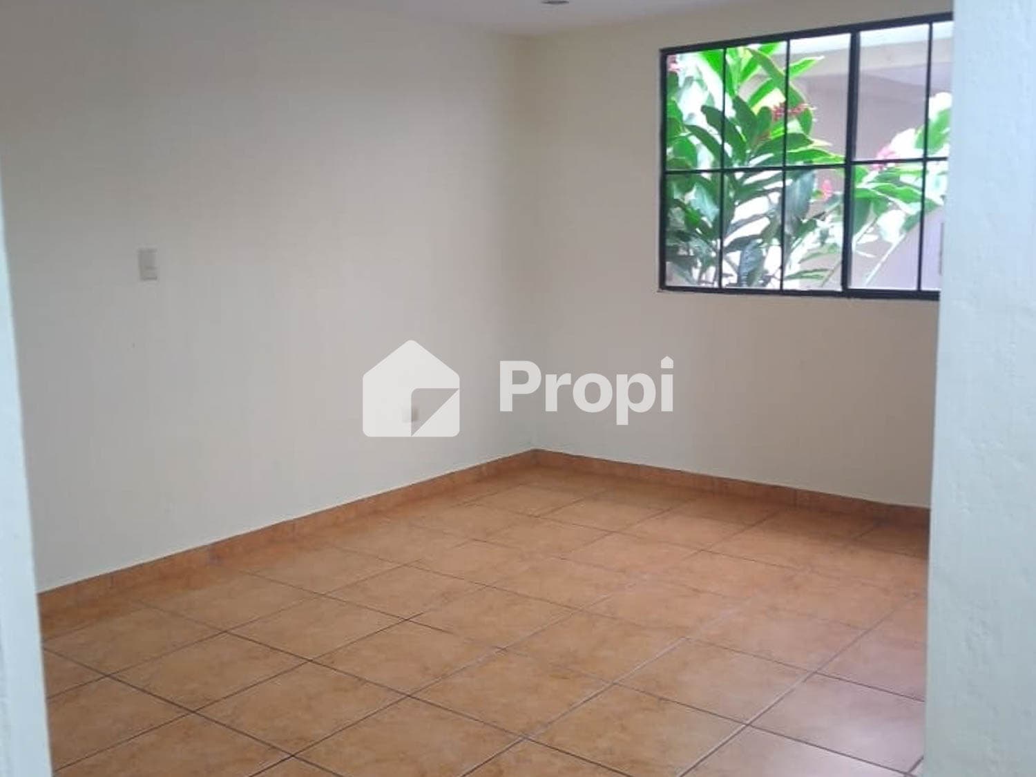 Foto 6 del proyecto