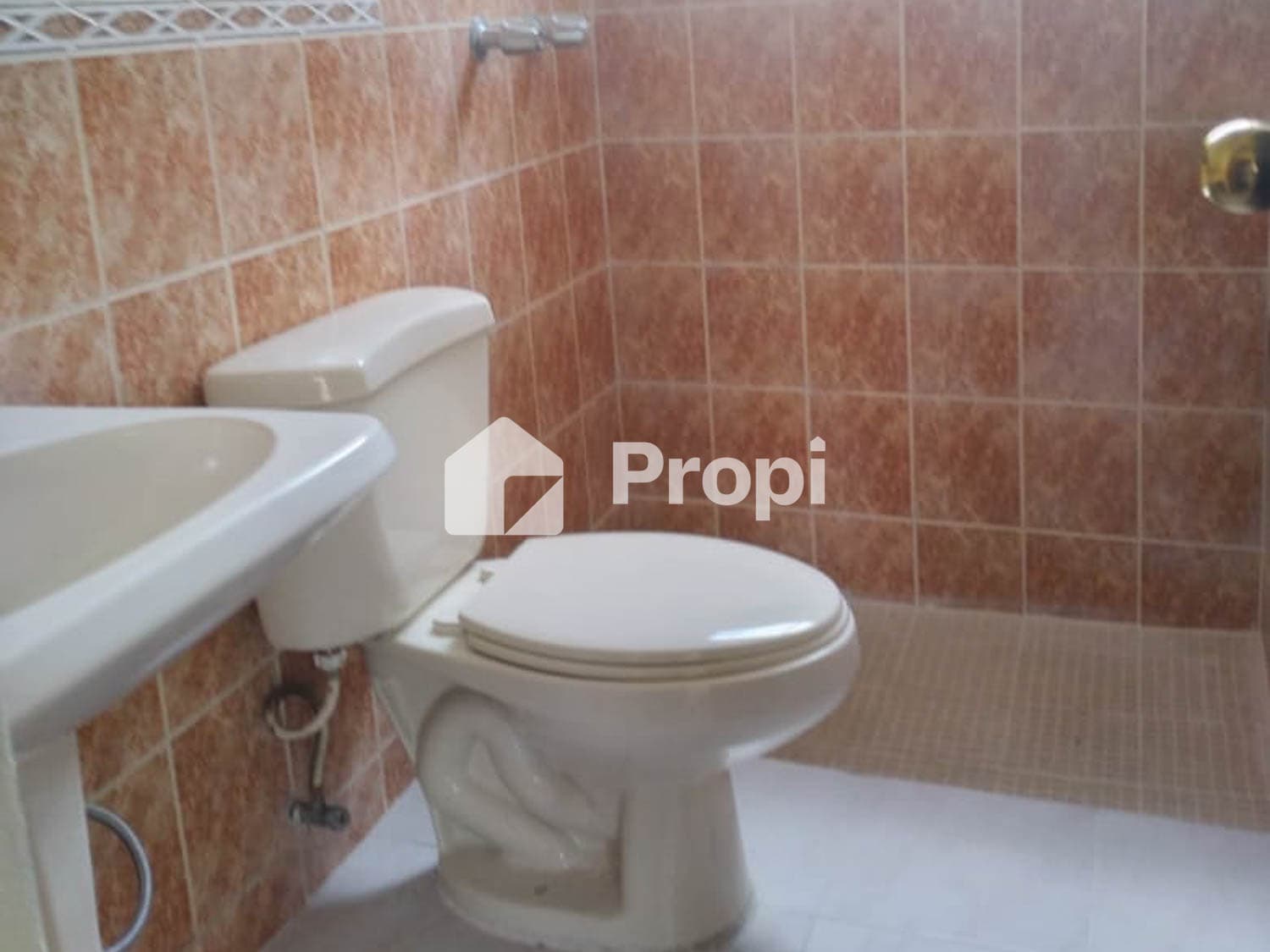 Foto 11 del proyecto