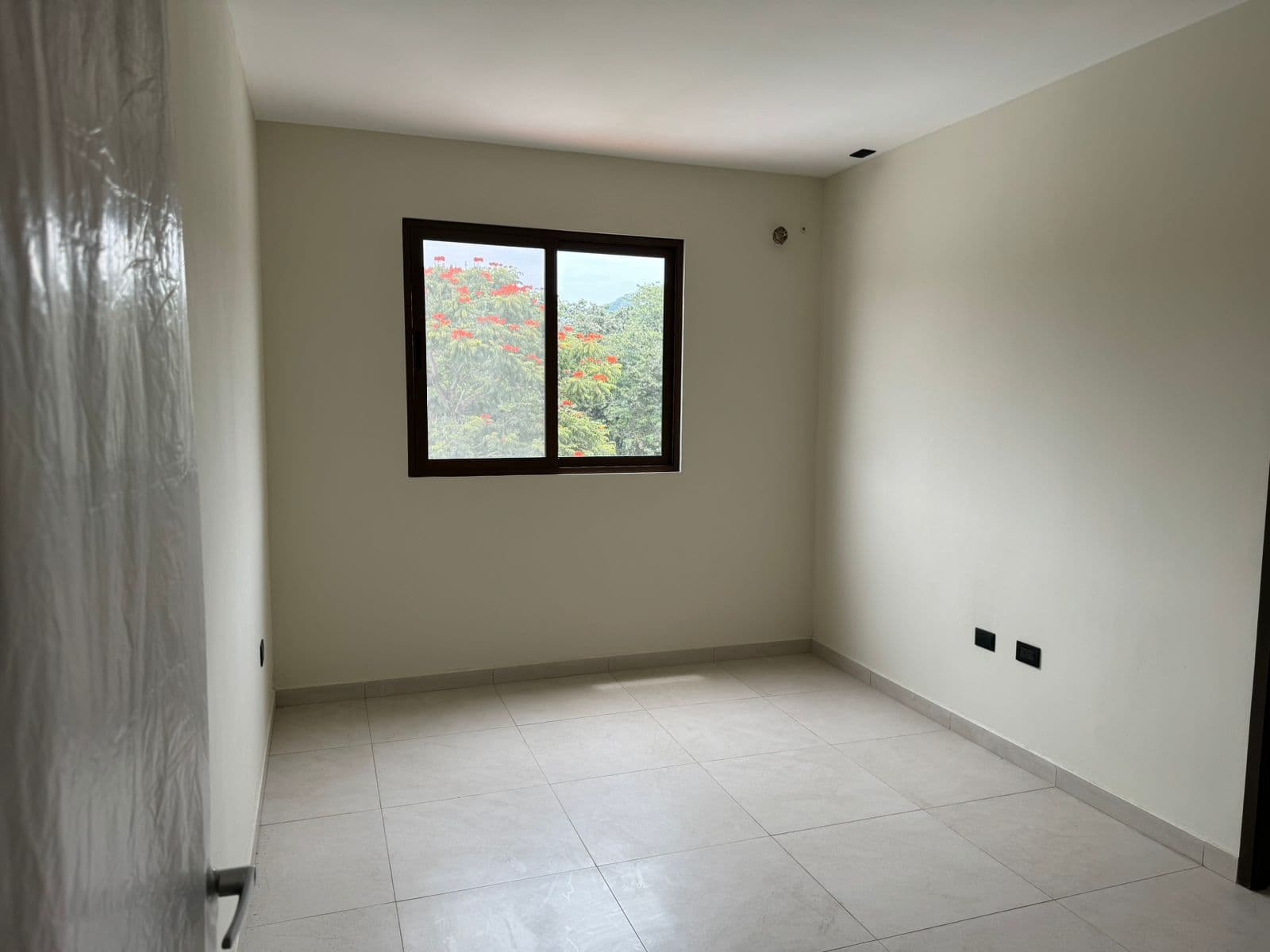 Foto 9 del proyecto