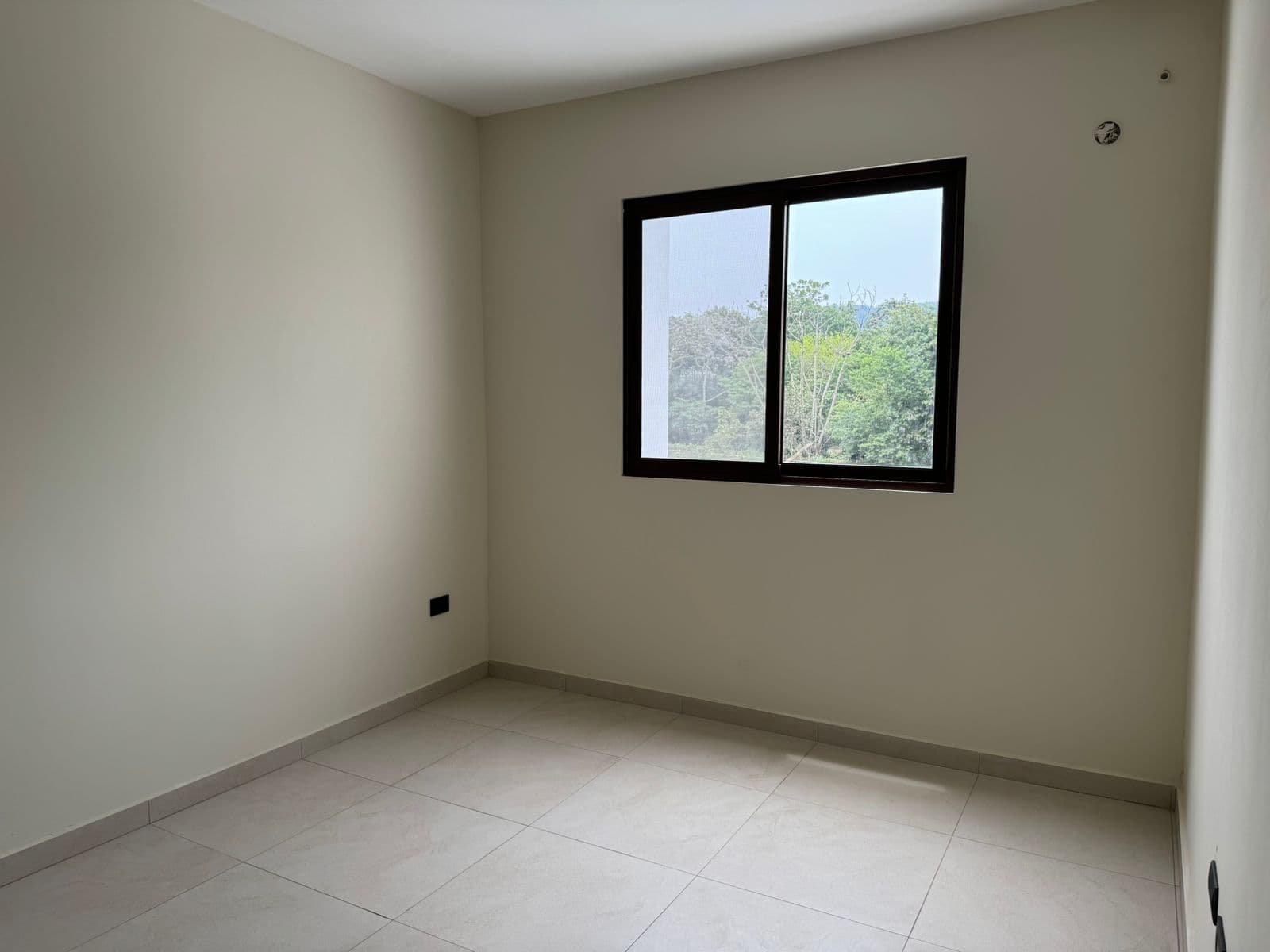 Foto 11 del proyecto