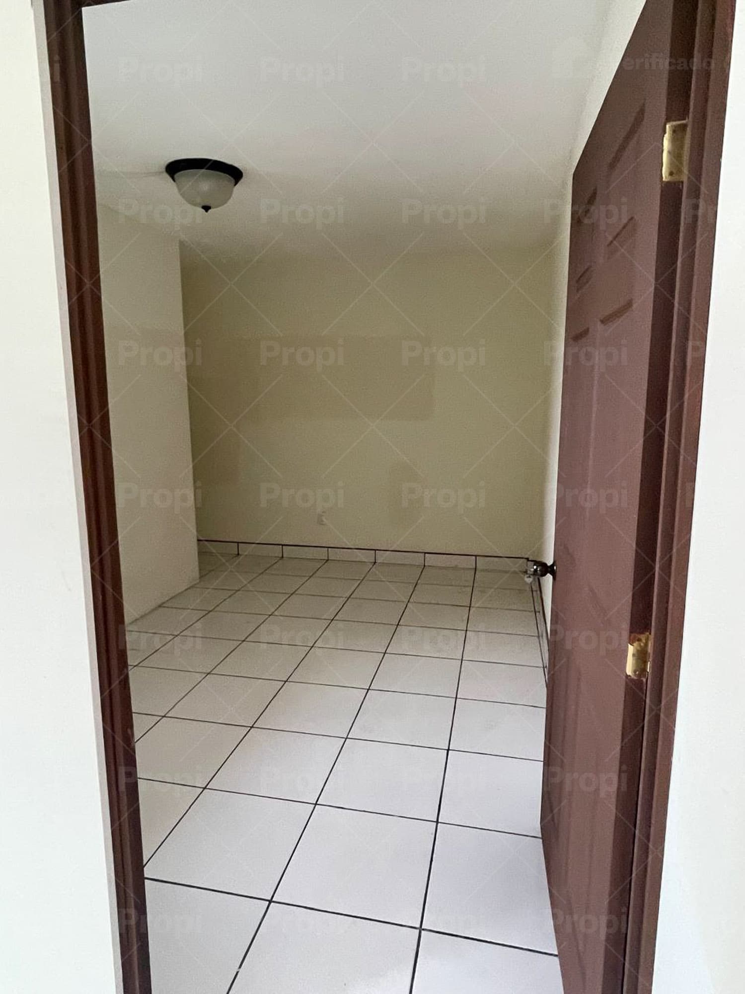 Foto 9 del proyecto