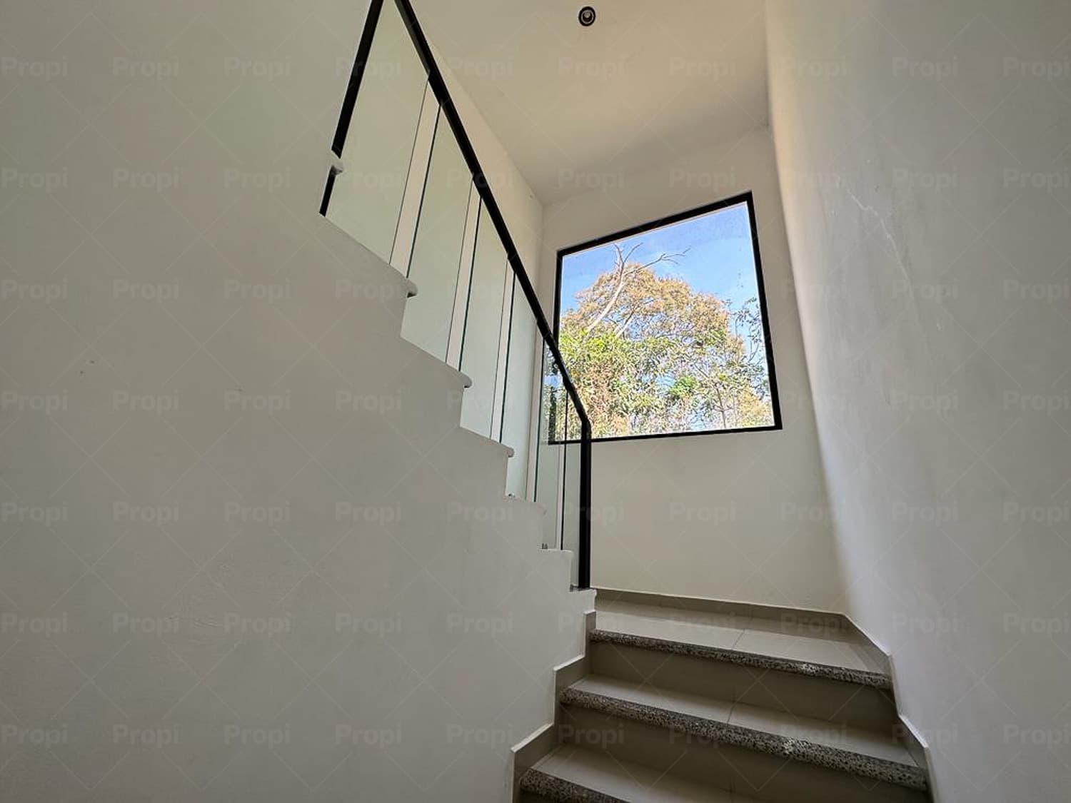 Foto 7 del proyecto