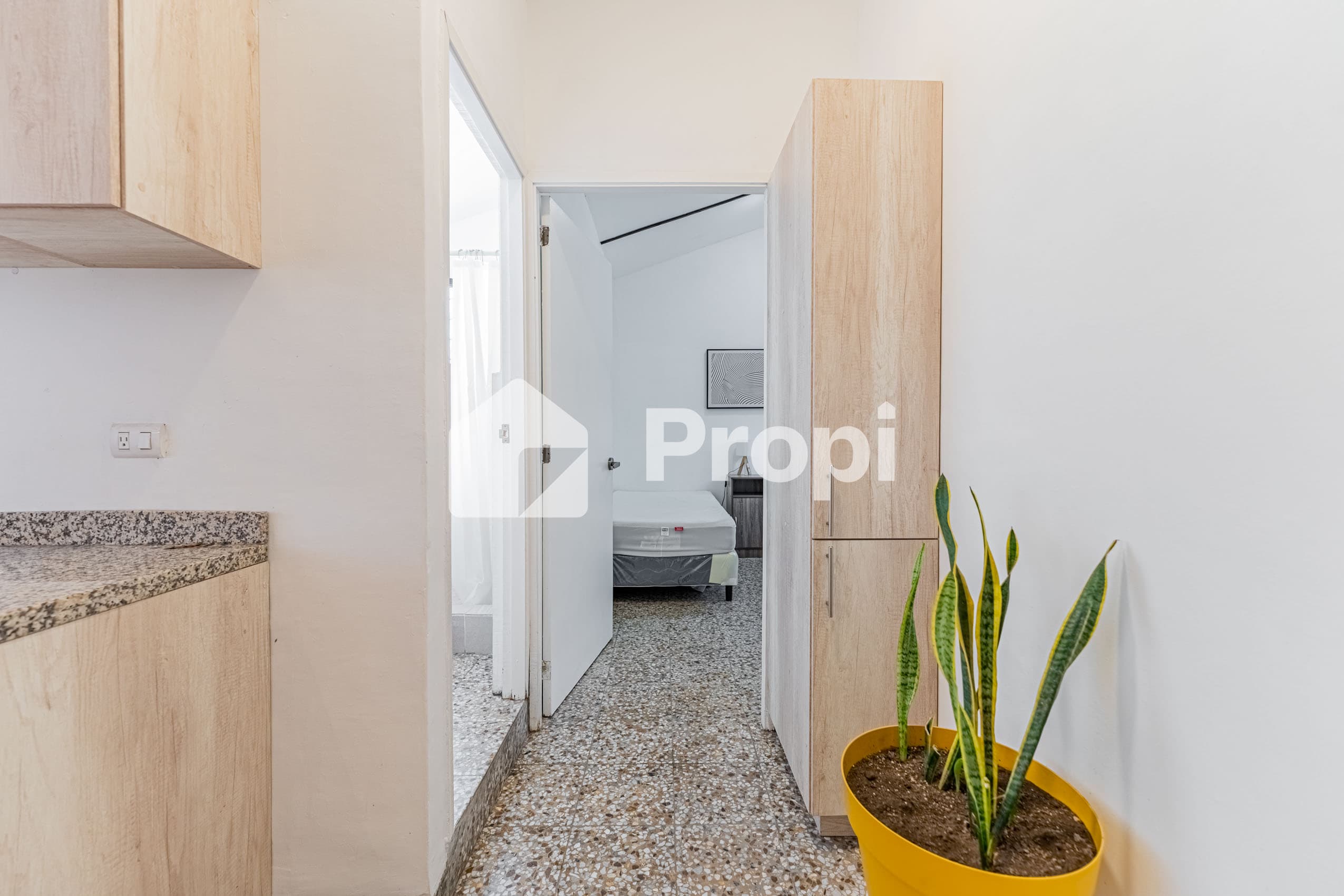 Foto 11 del proyecto