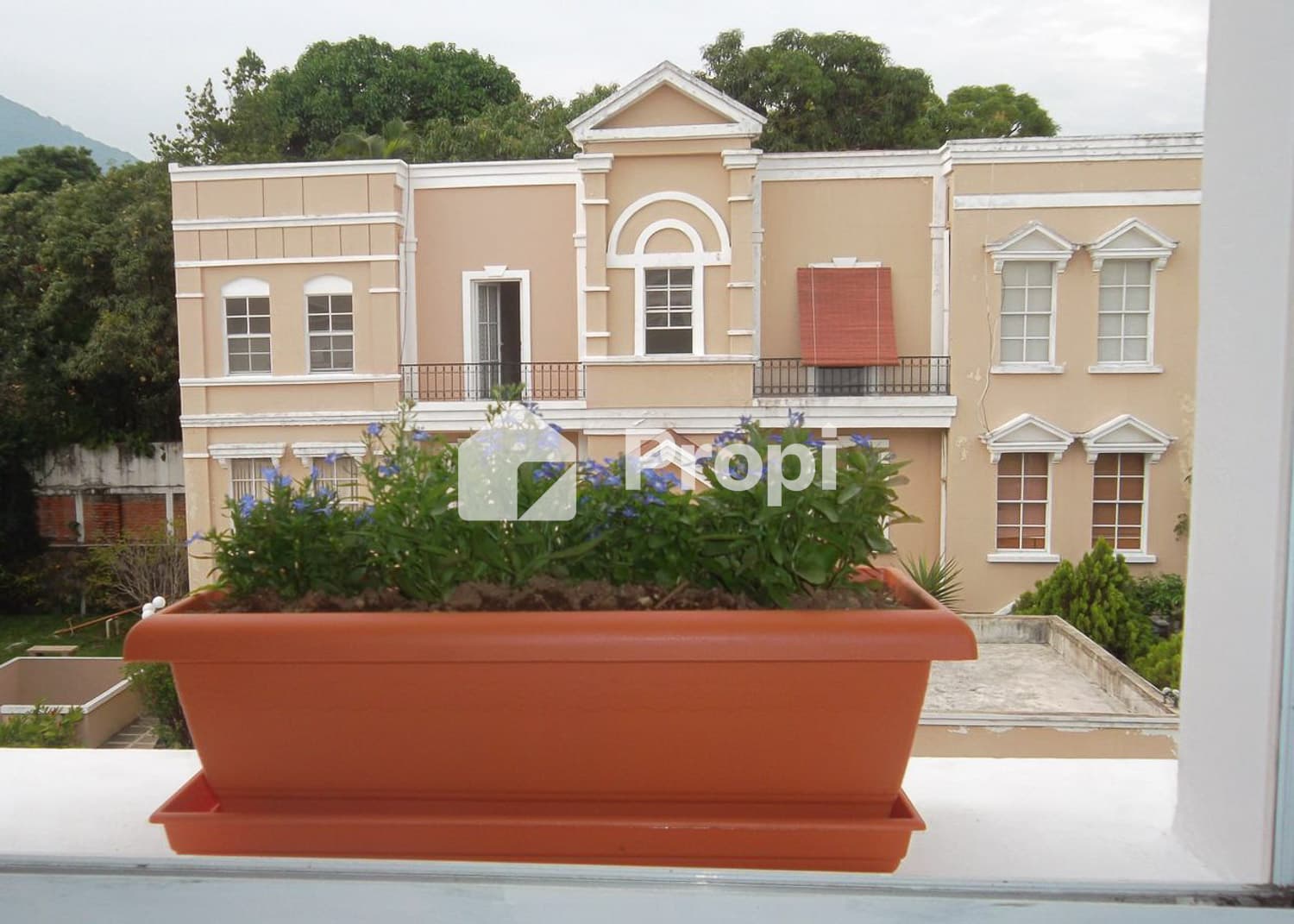 Foto 4 del proyecto